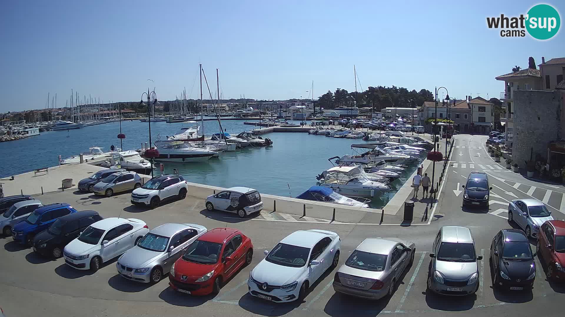 Novigrad | Porporela marina