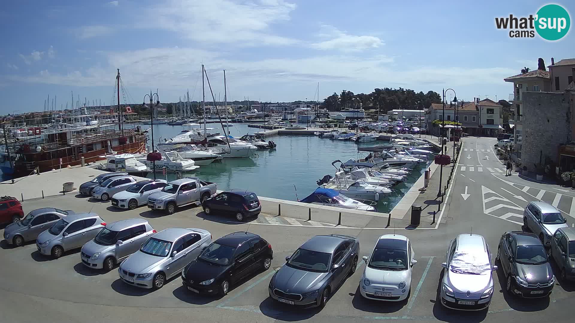 Novigrad | Porporela marina