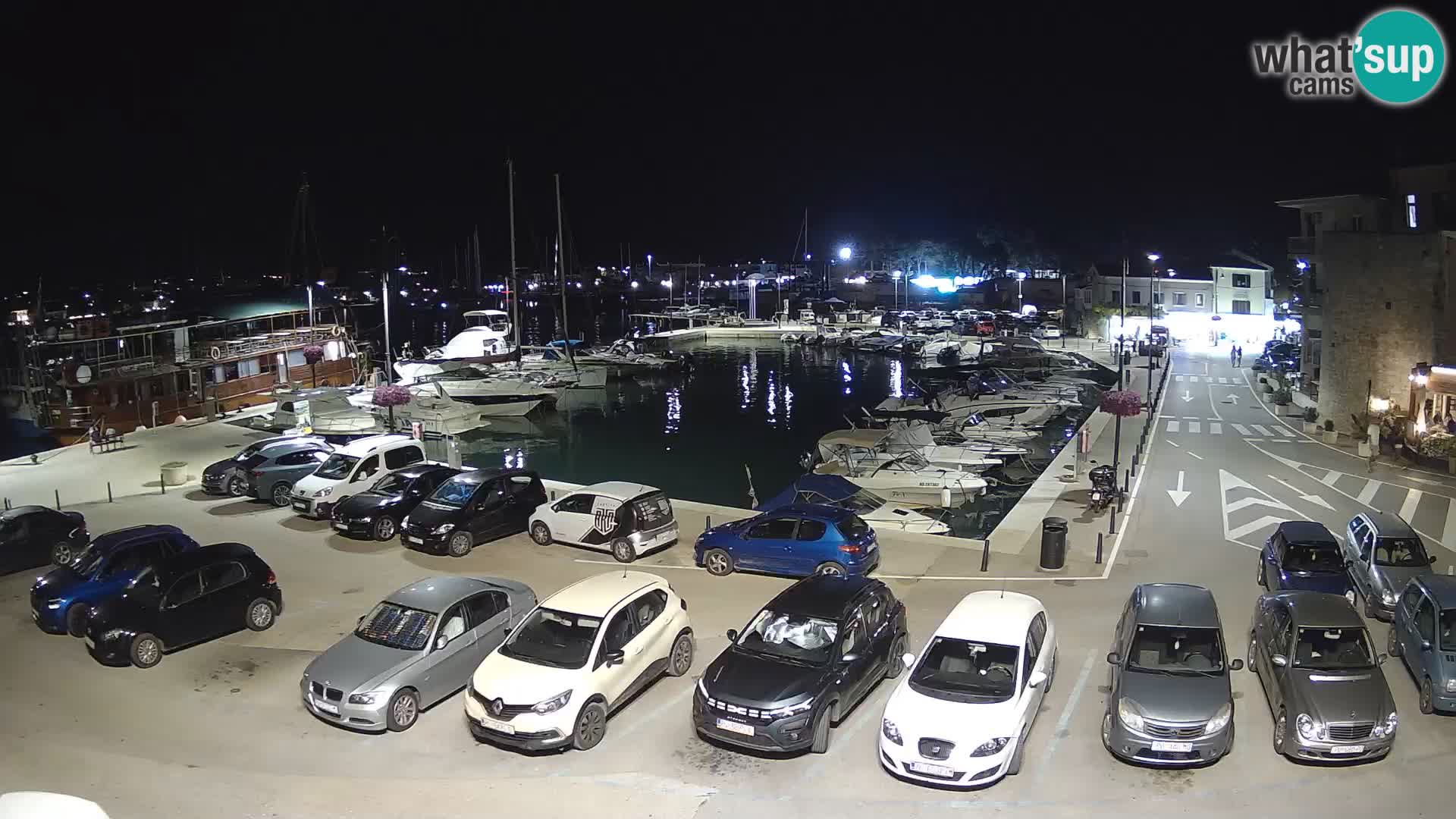 Novigrad | Porporela marina