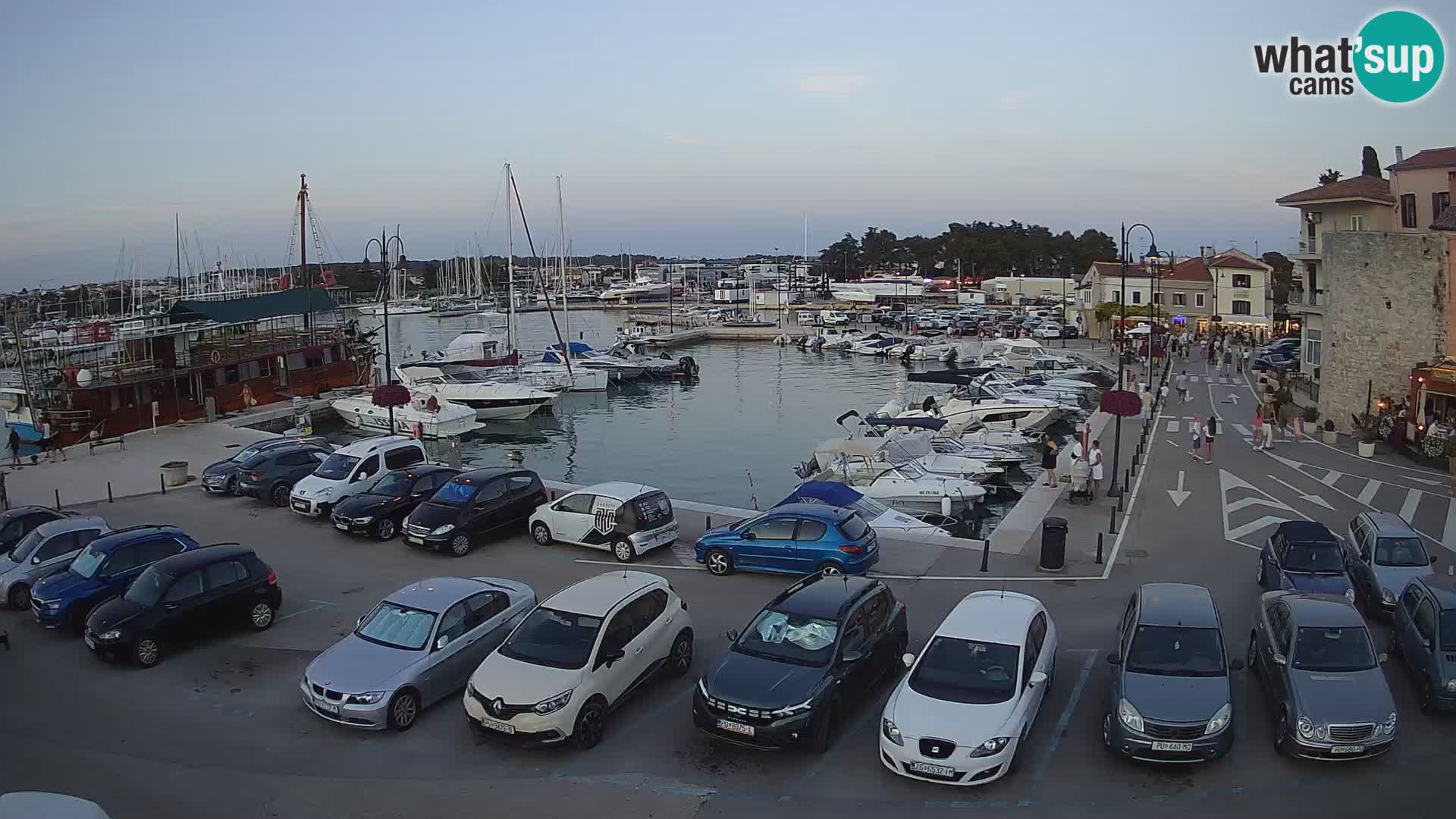 Novigrad | Porporela marina