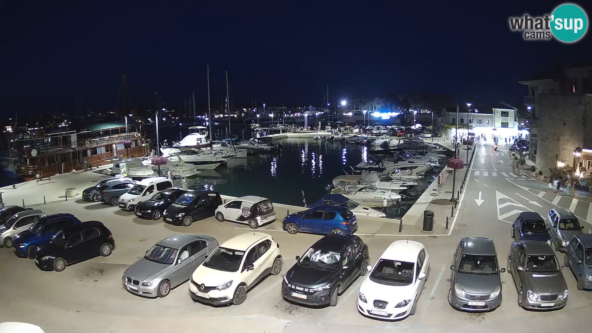 Novigrad | Porporela marina
