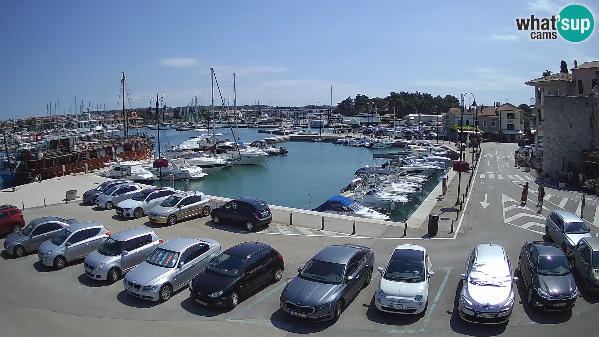 Novigrad | Porporela marina