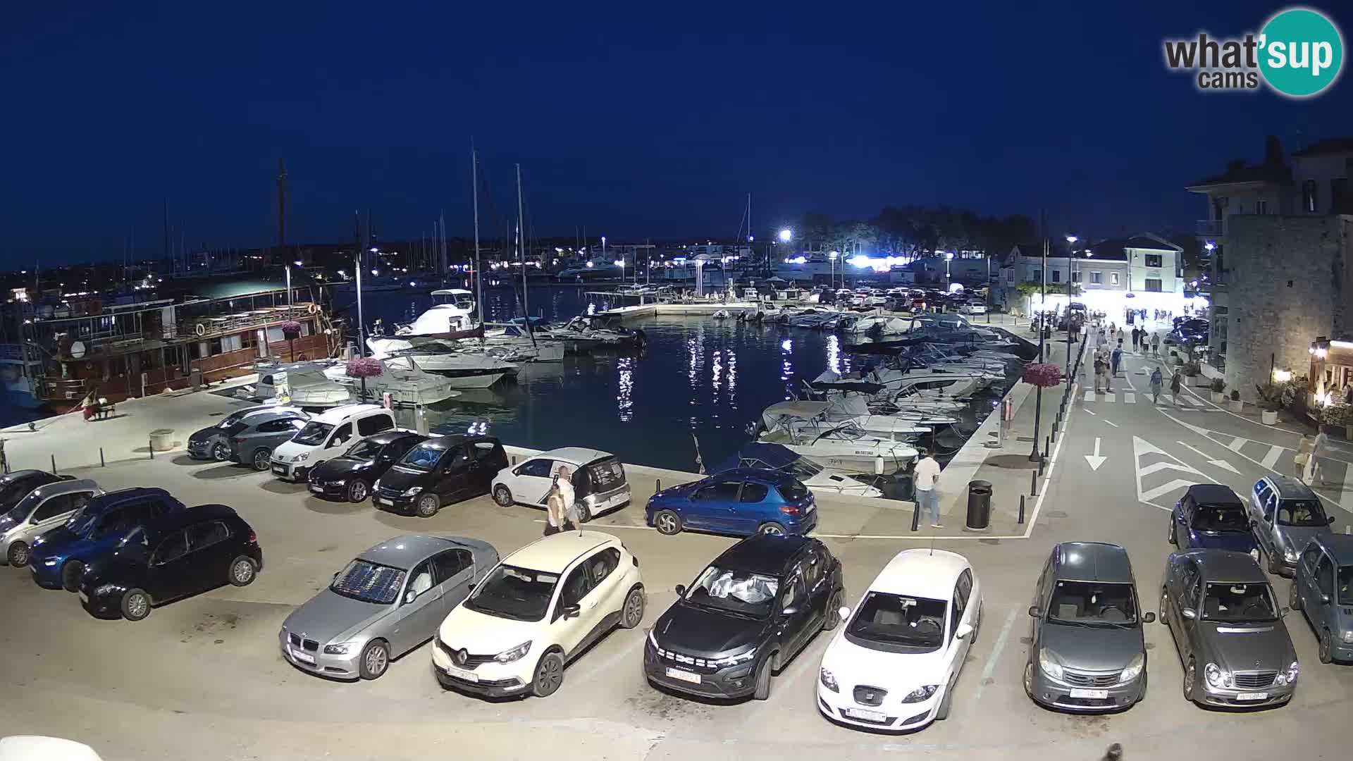 Novigrad | Porporela marina