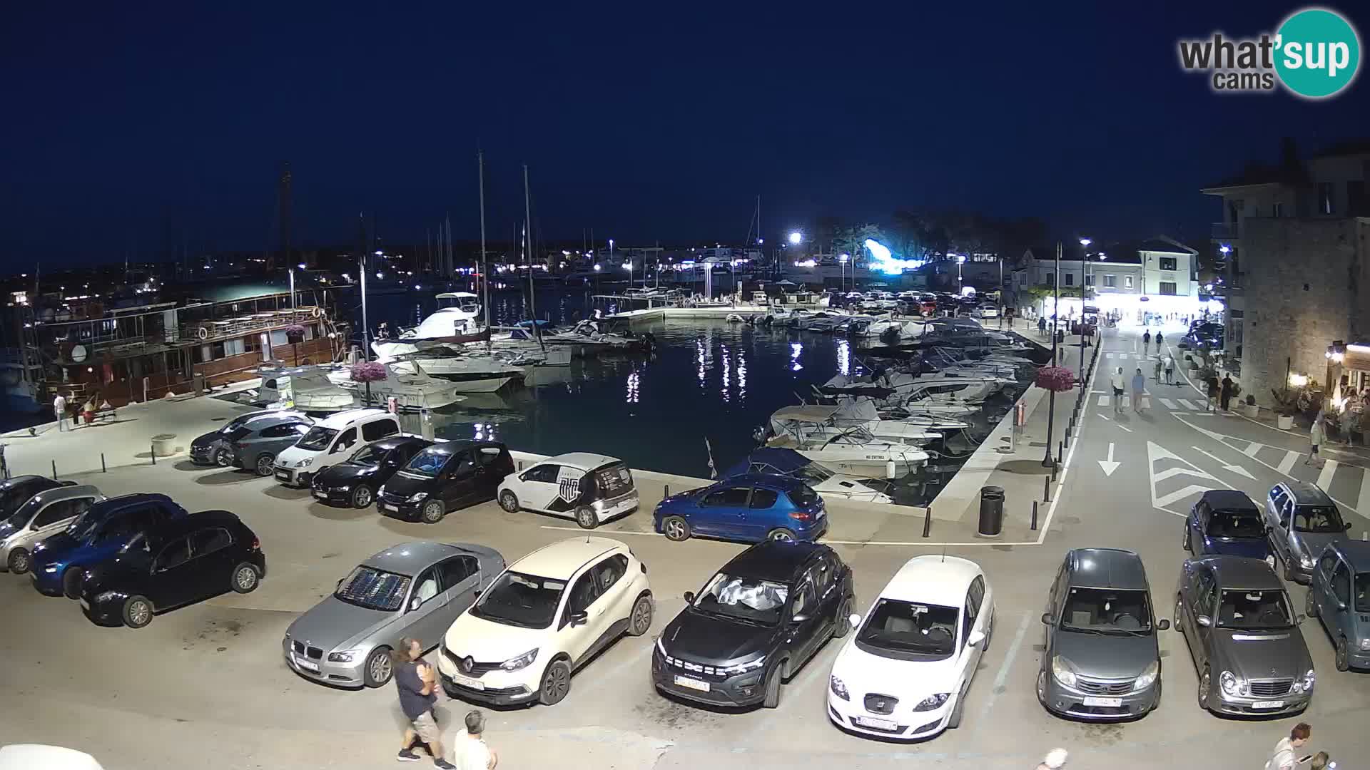 Novigrad | Porporela marina