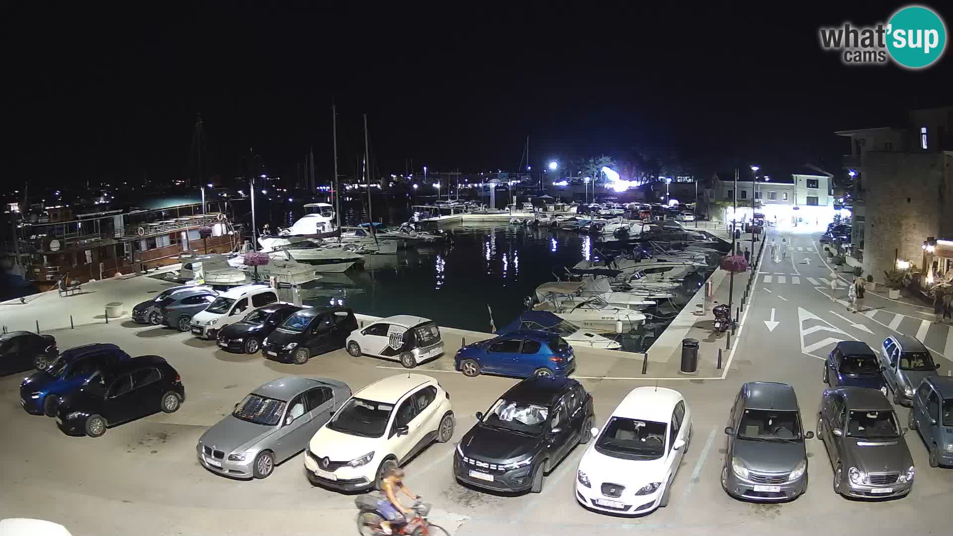 Novigrad | Porporela marina
