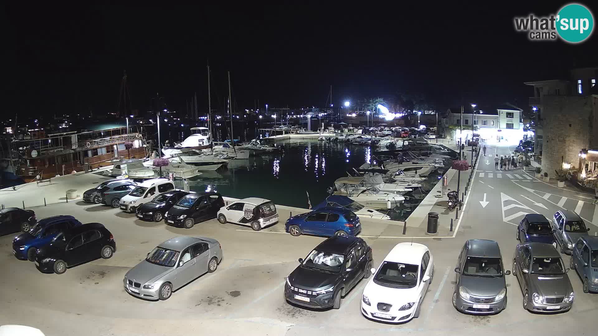 Novigrad | Porporela marina