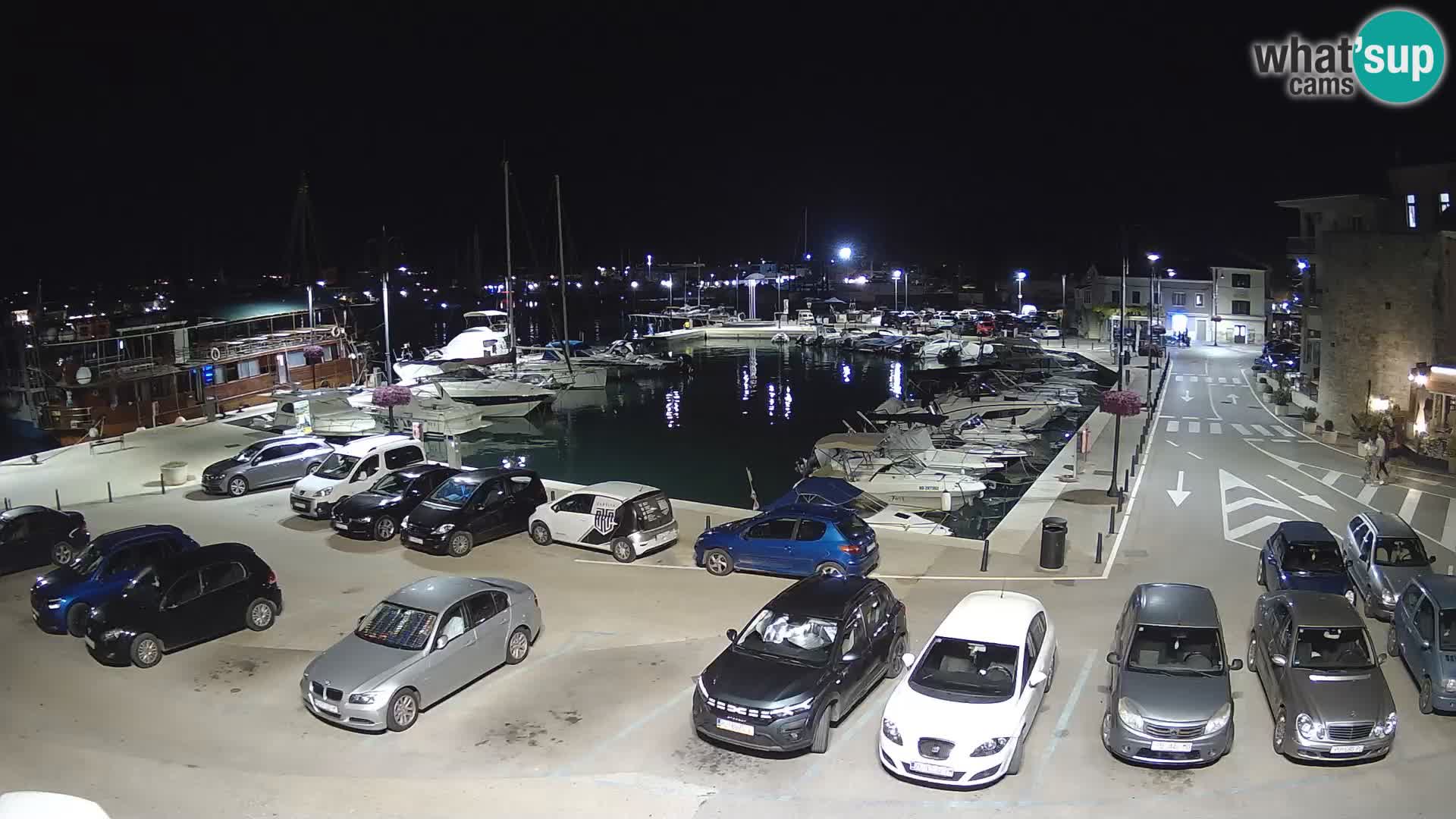 Novigrad | Porporela marina