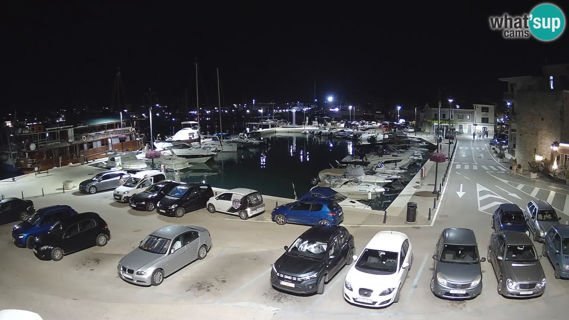 Novigrad | Porporela marina