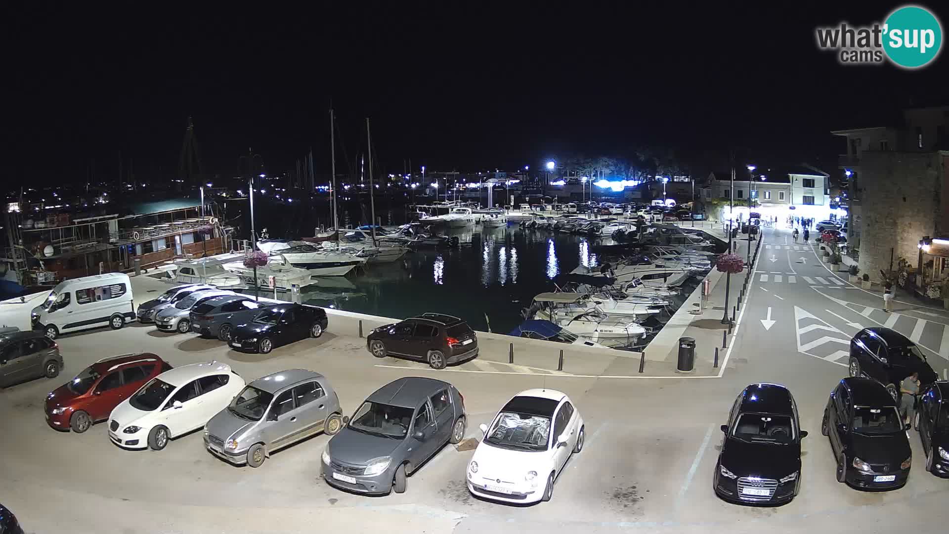 Novigrad | Porporela marina