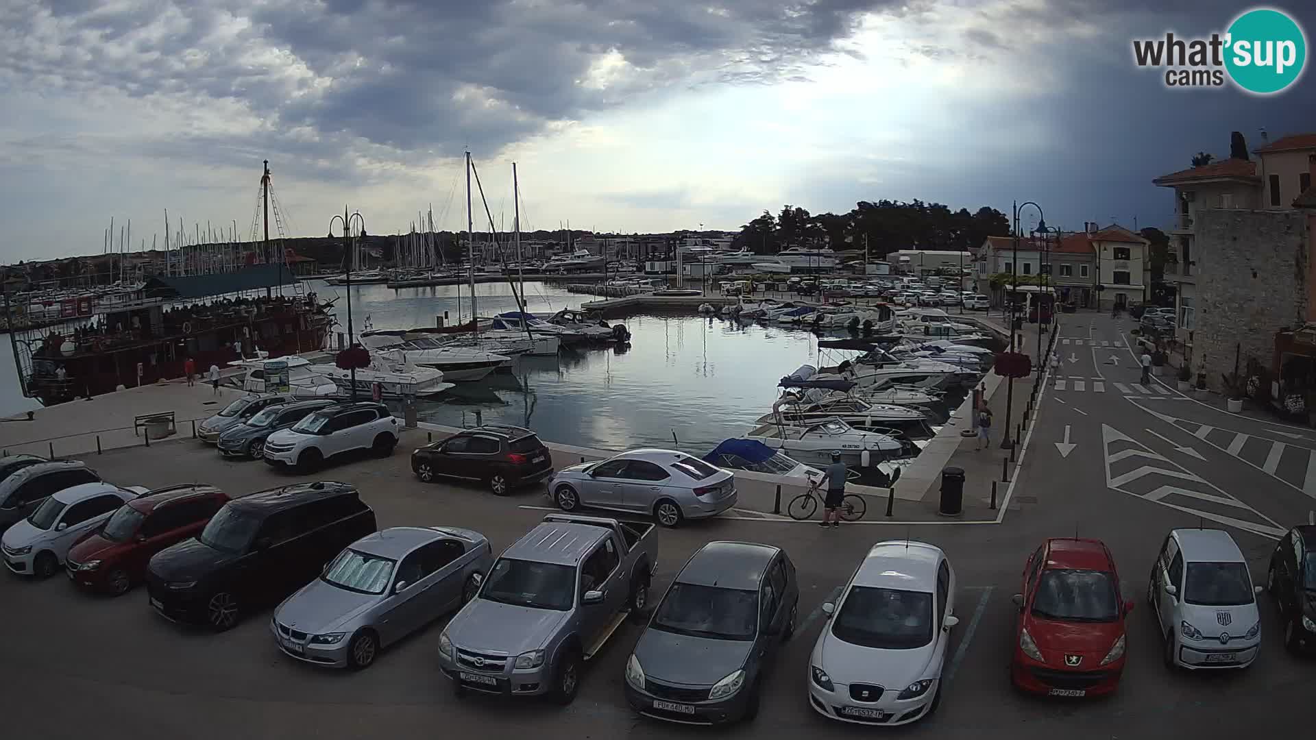 Novigrad | Porporela marina