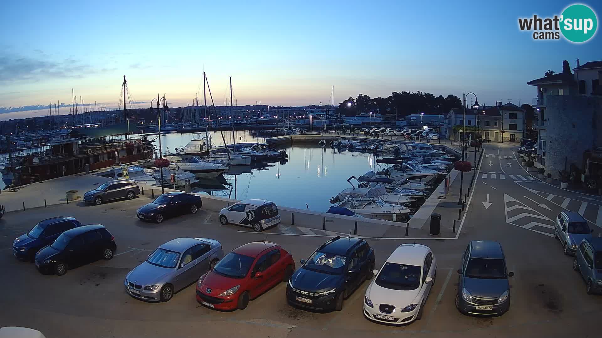 Novigrad | Porporela marina