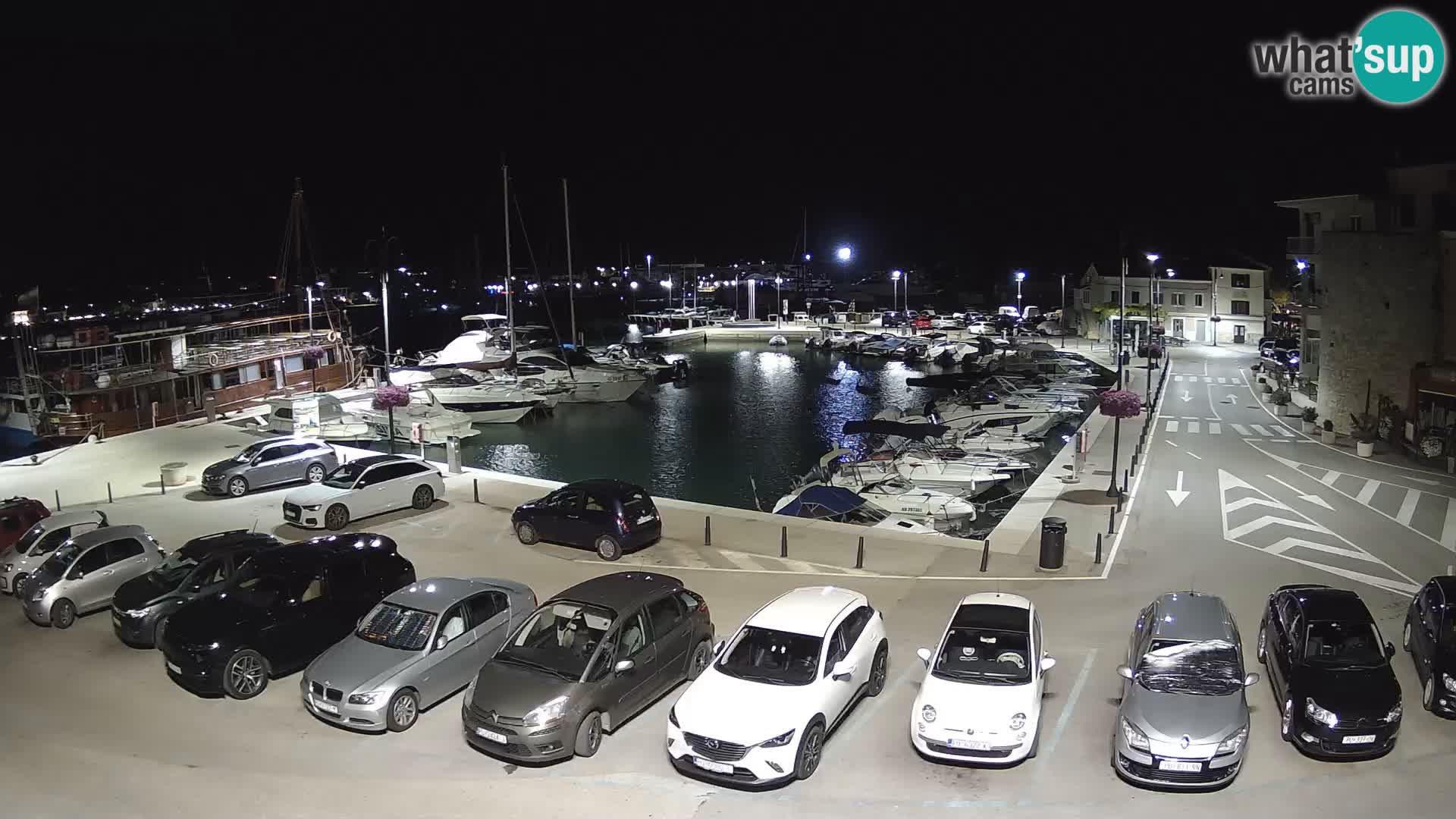 Novigrad | Porporela marina