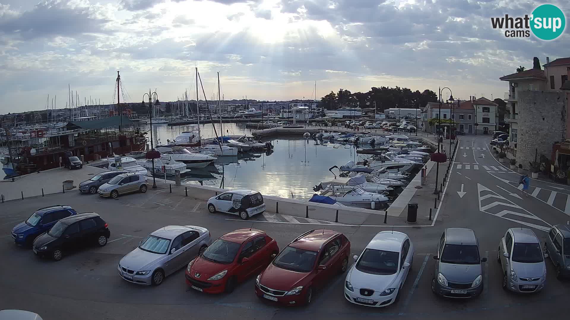 Novigrad | Porporela marina