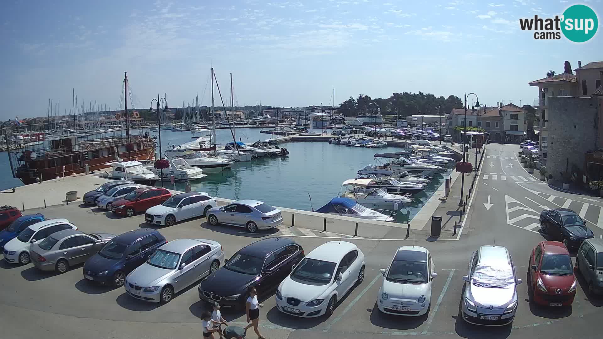 Novigrad | Porporela marina
