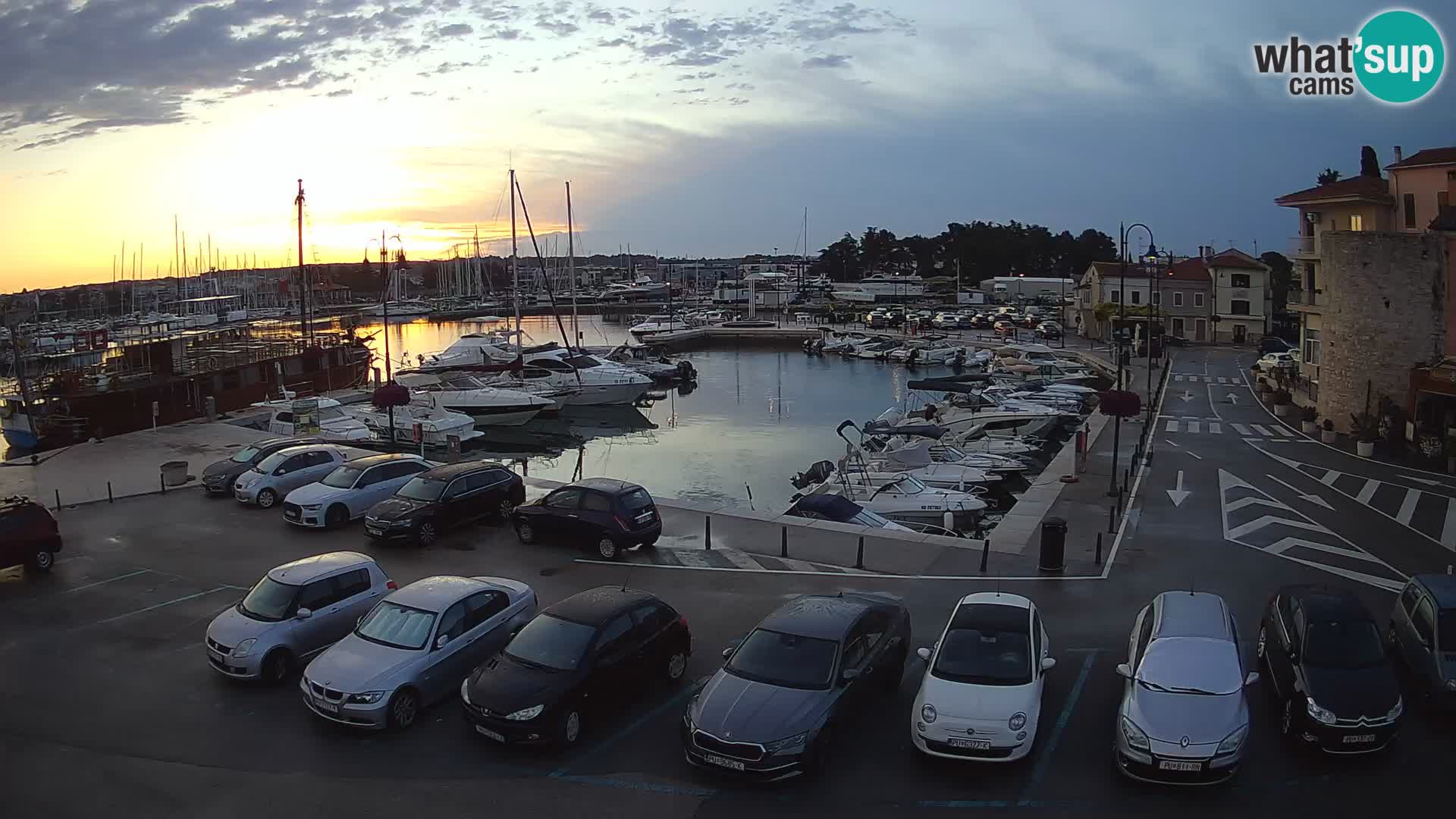 Novigrad | Porporela marina