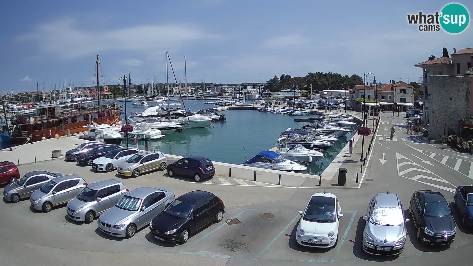 Novigrad | Porporela marina