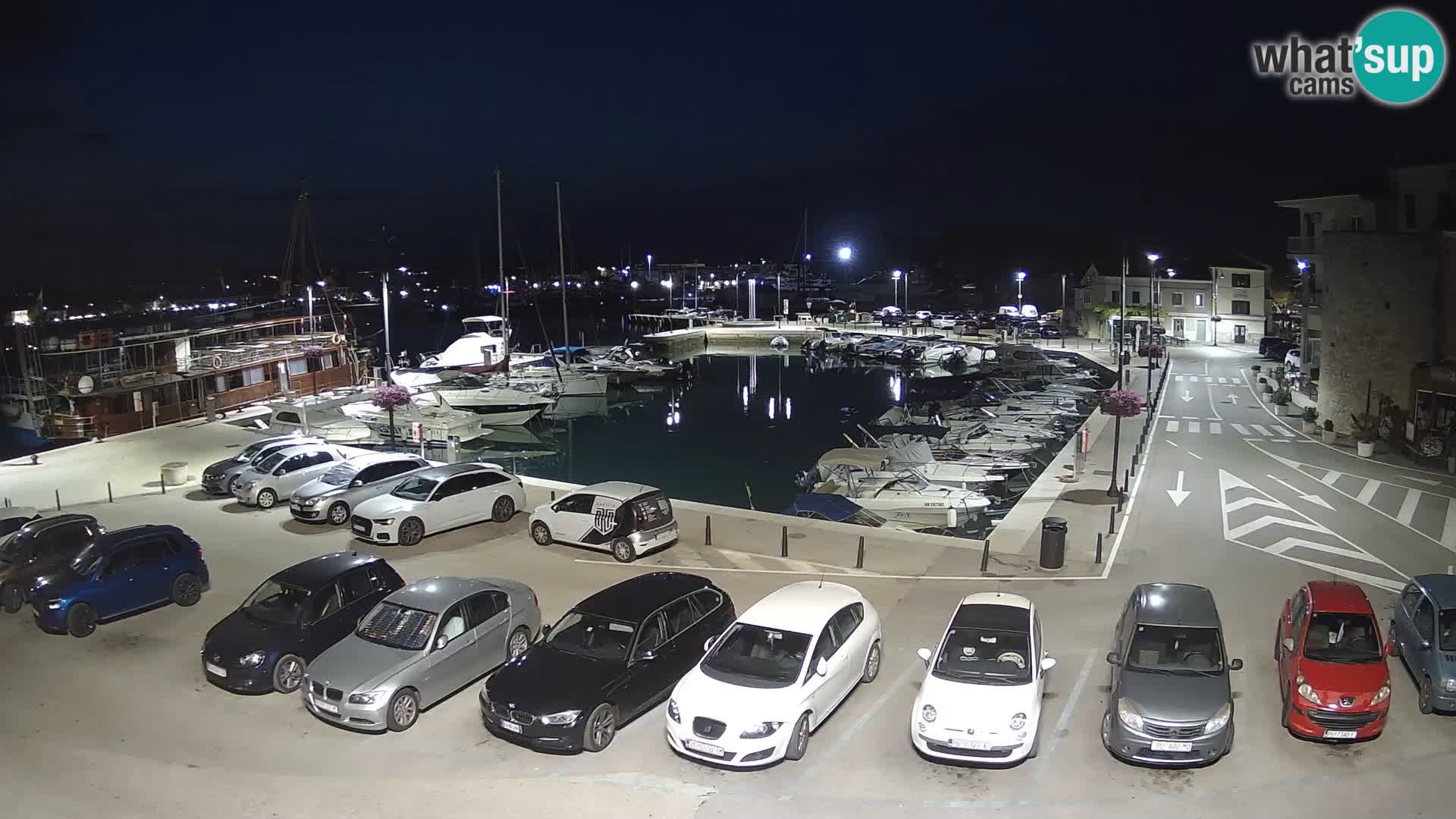 Novigrad | Porporela marina