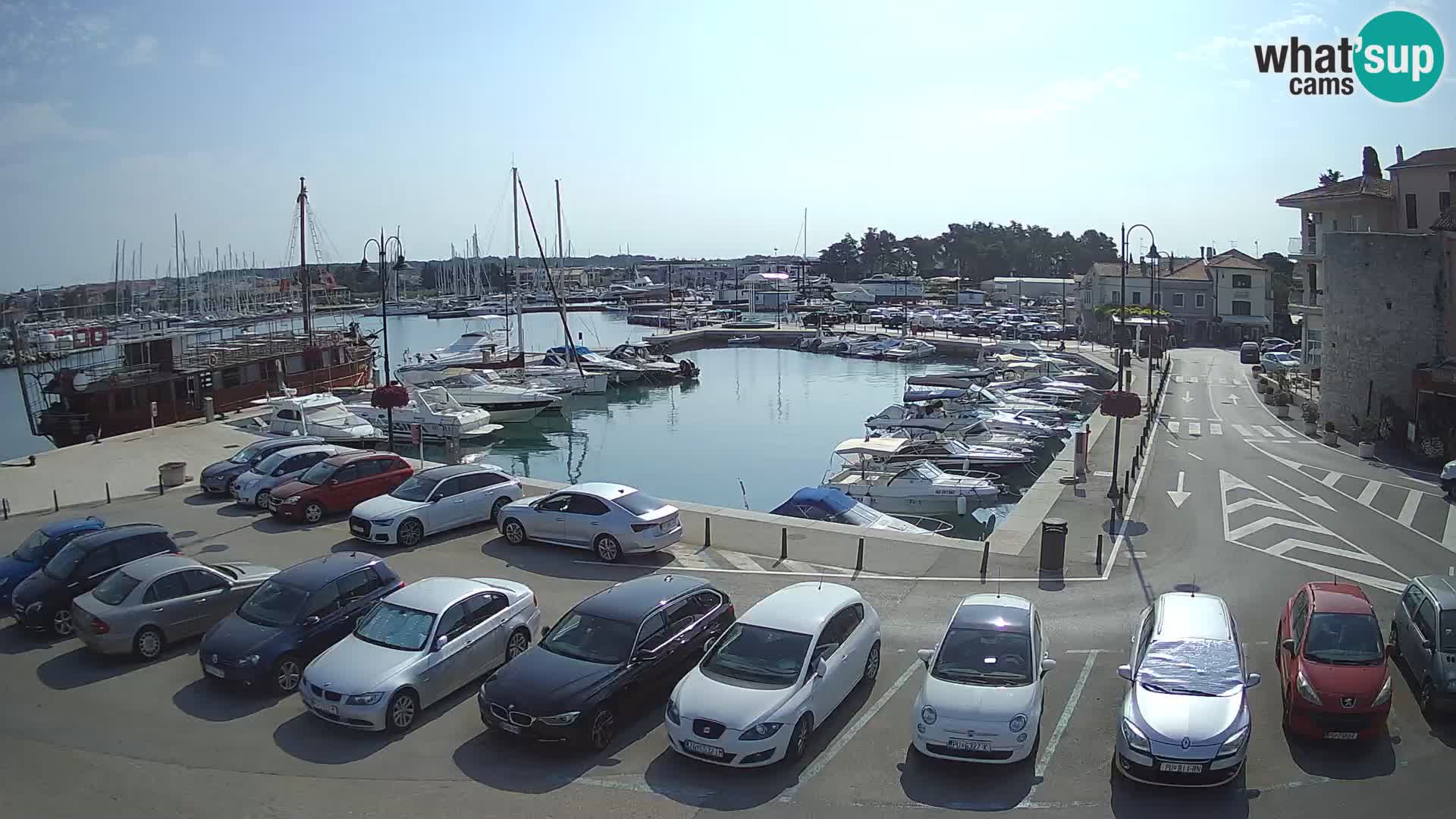 Novigrad | Porporela marina