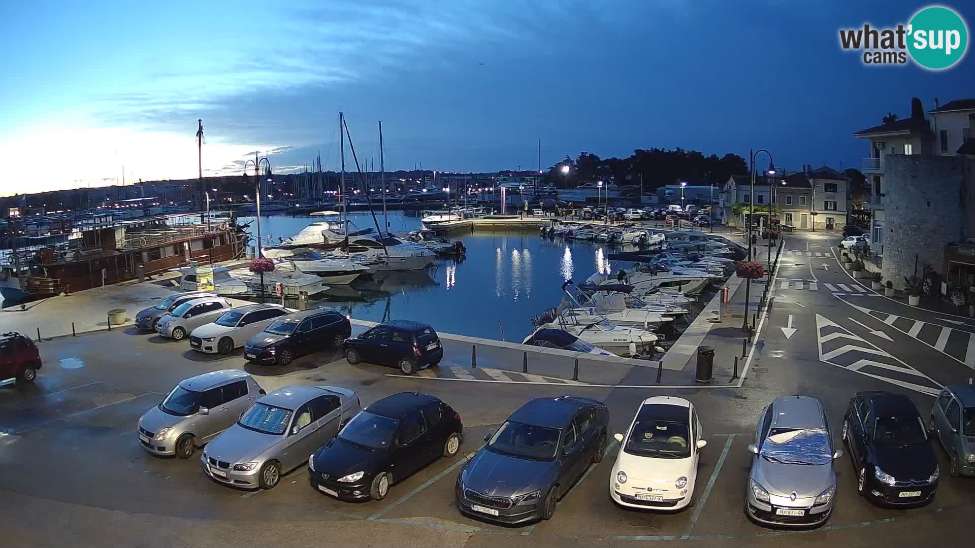 Novigrad | Porporela marina
