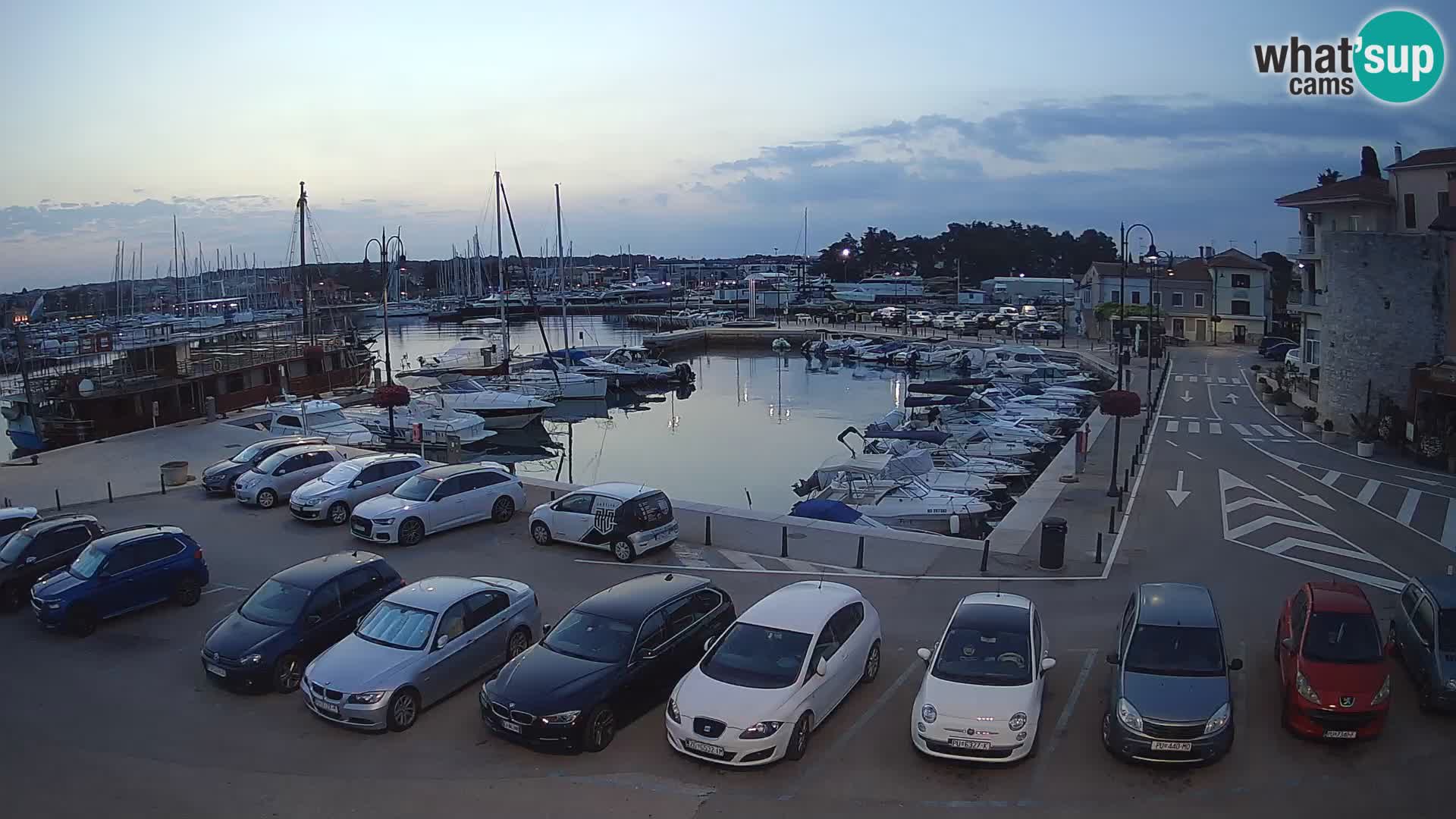 Novigrad | Porporela marina