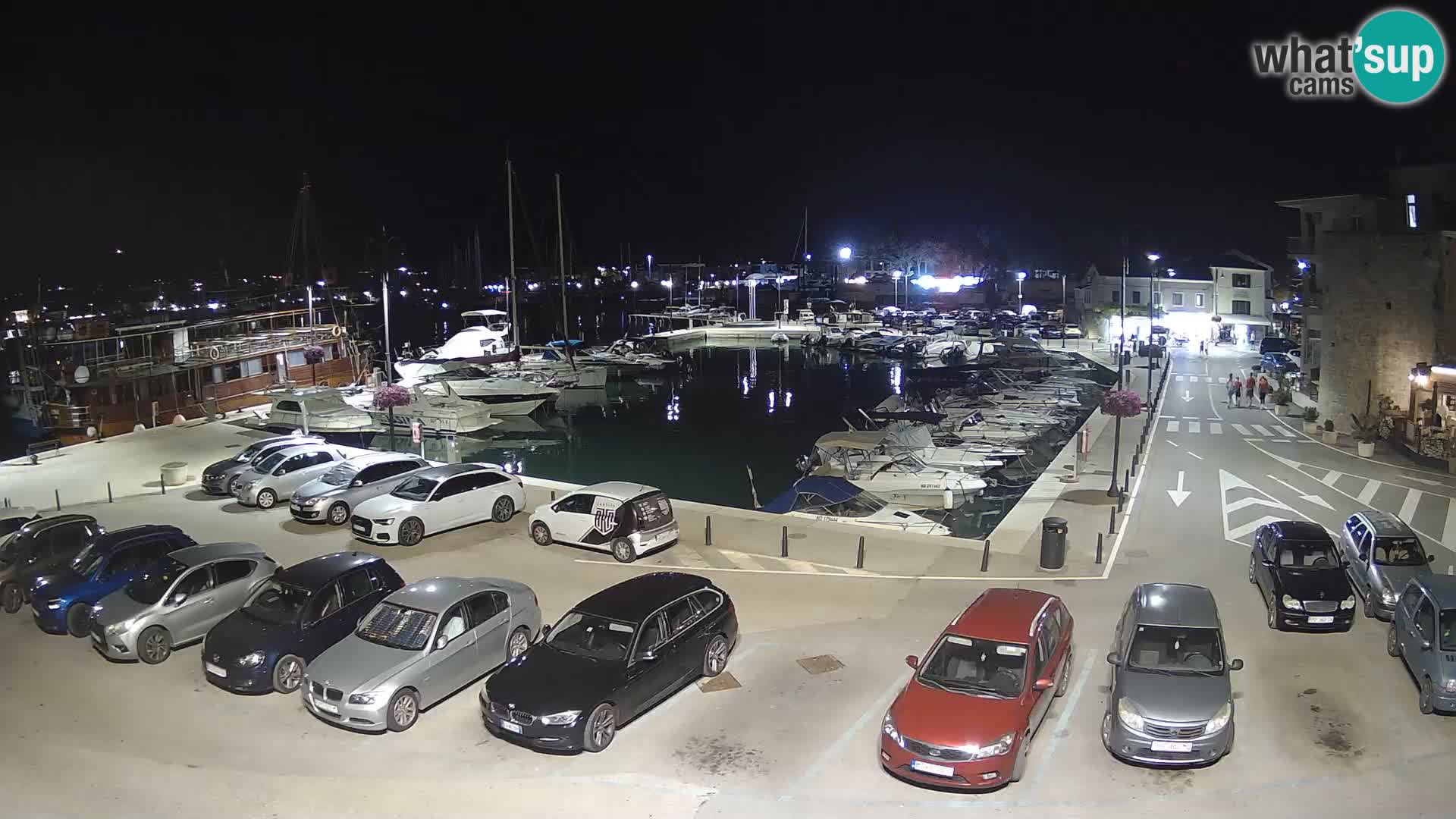 Novigrad | Porporela marina