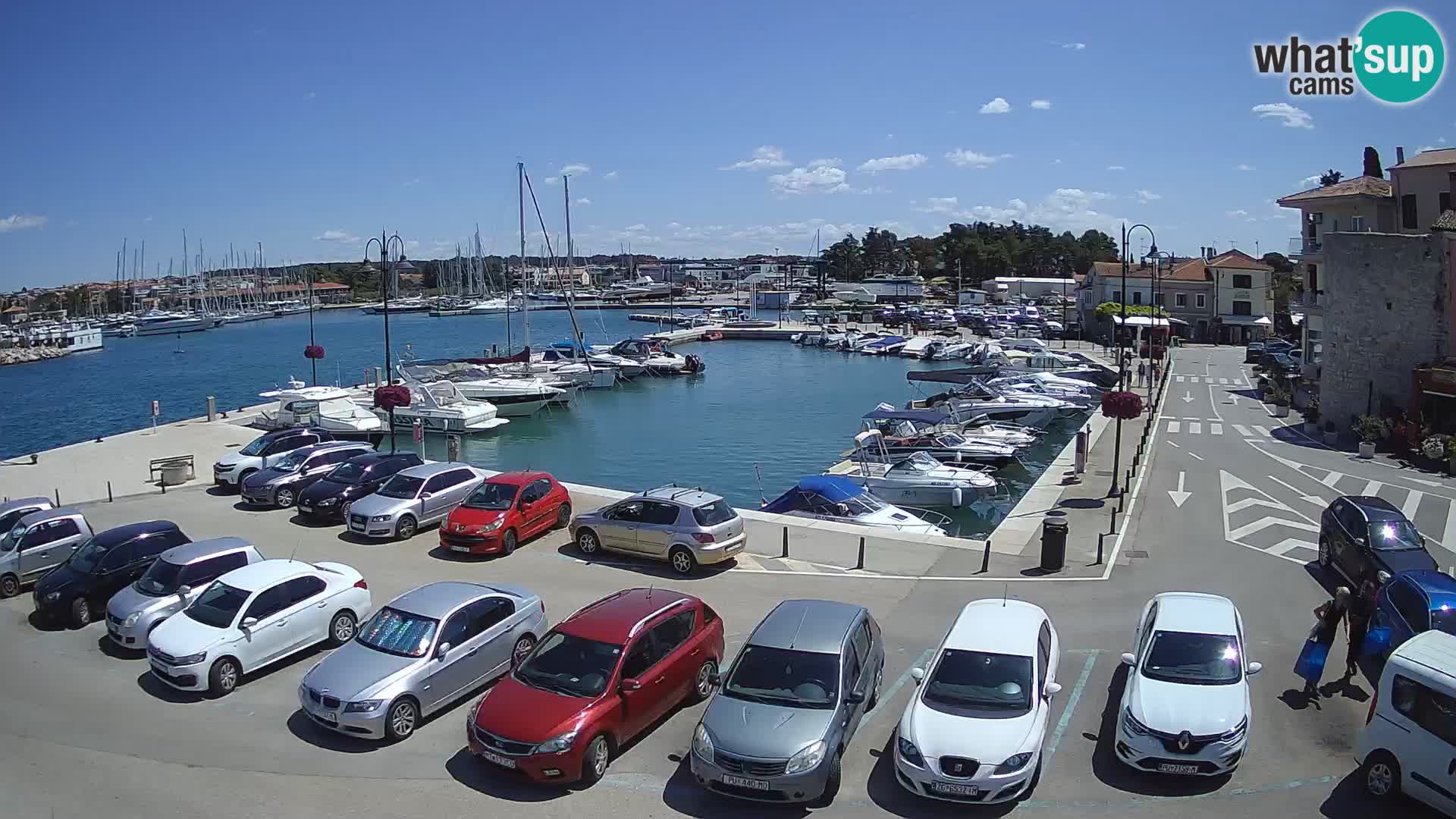 Novigrad | Porporela marina