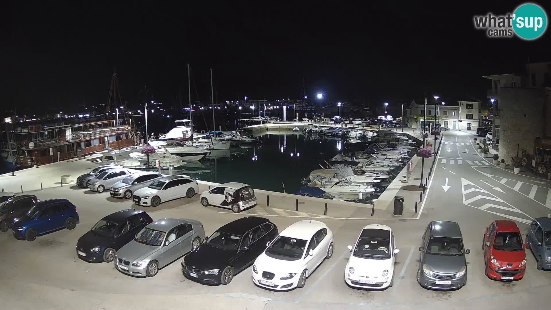 Novigrad | Porporela marina