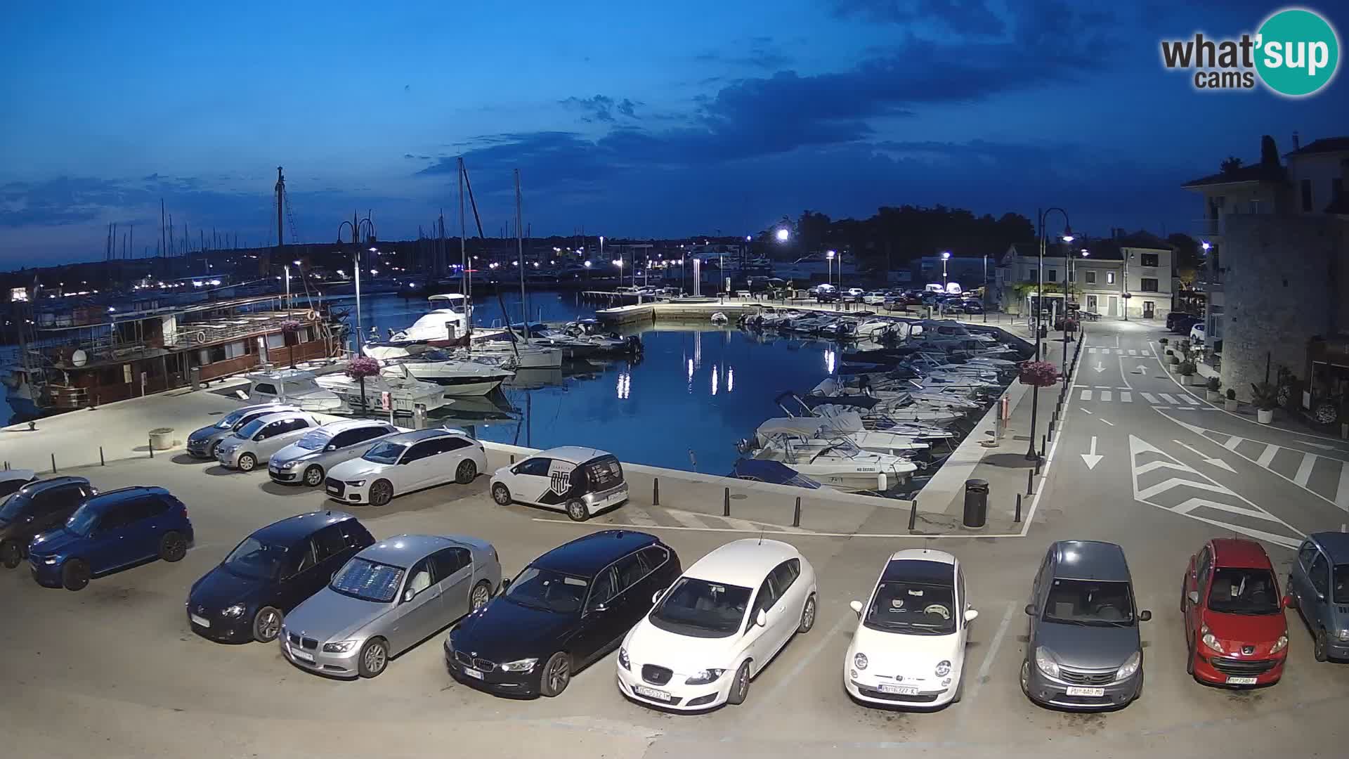 Novigrad | Porporela marina
