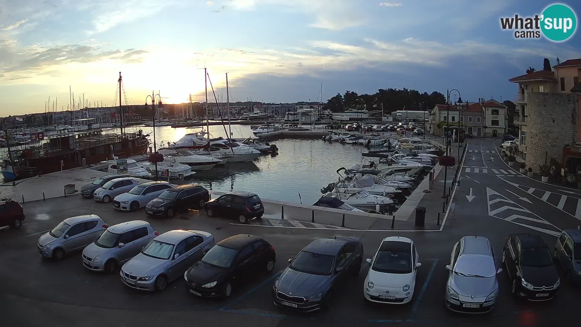 Novigrad | Porporela marina
