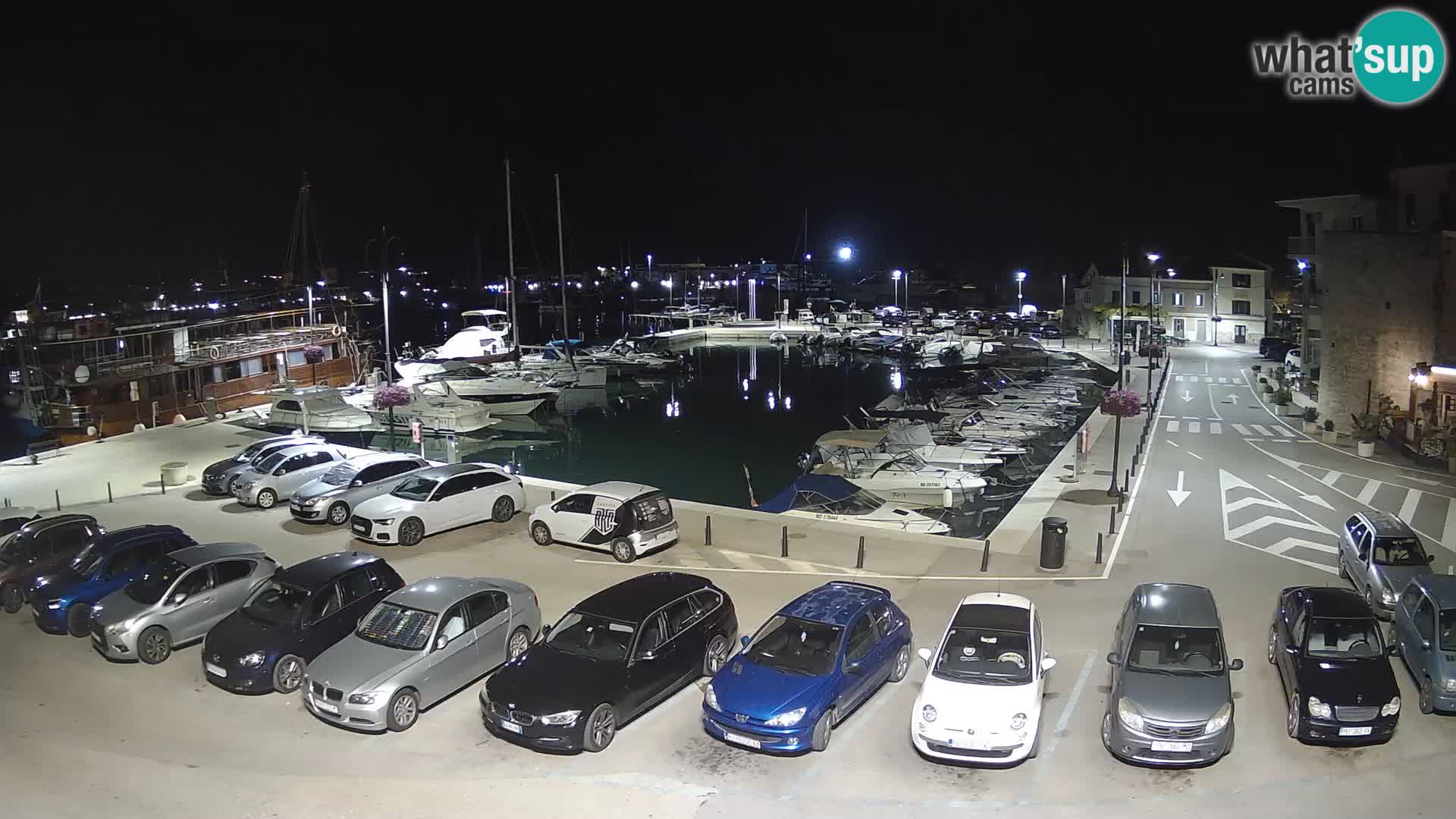 Novigrad | Porporela marina