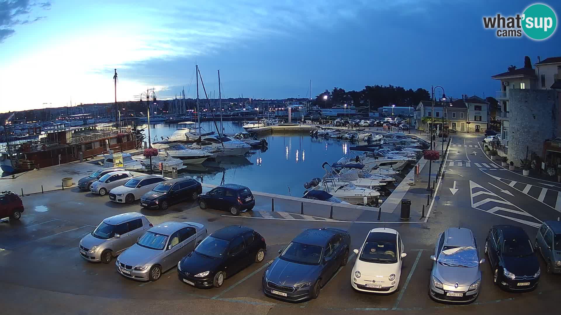 Novigrad | Porporela marina