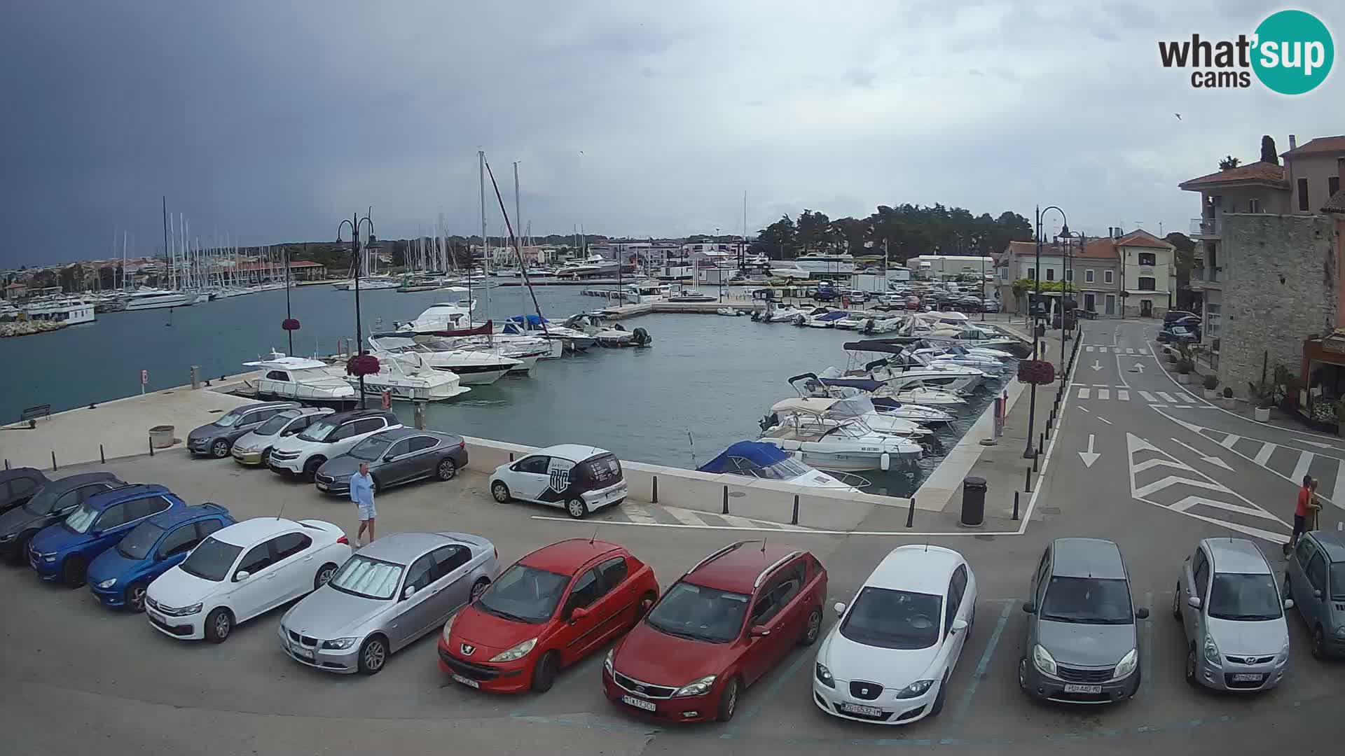 Novigrad | Porporela marina
