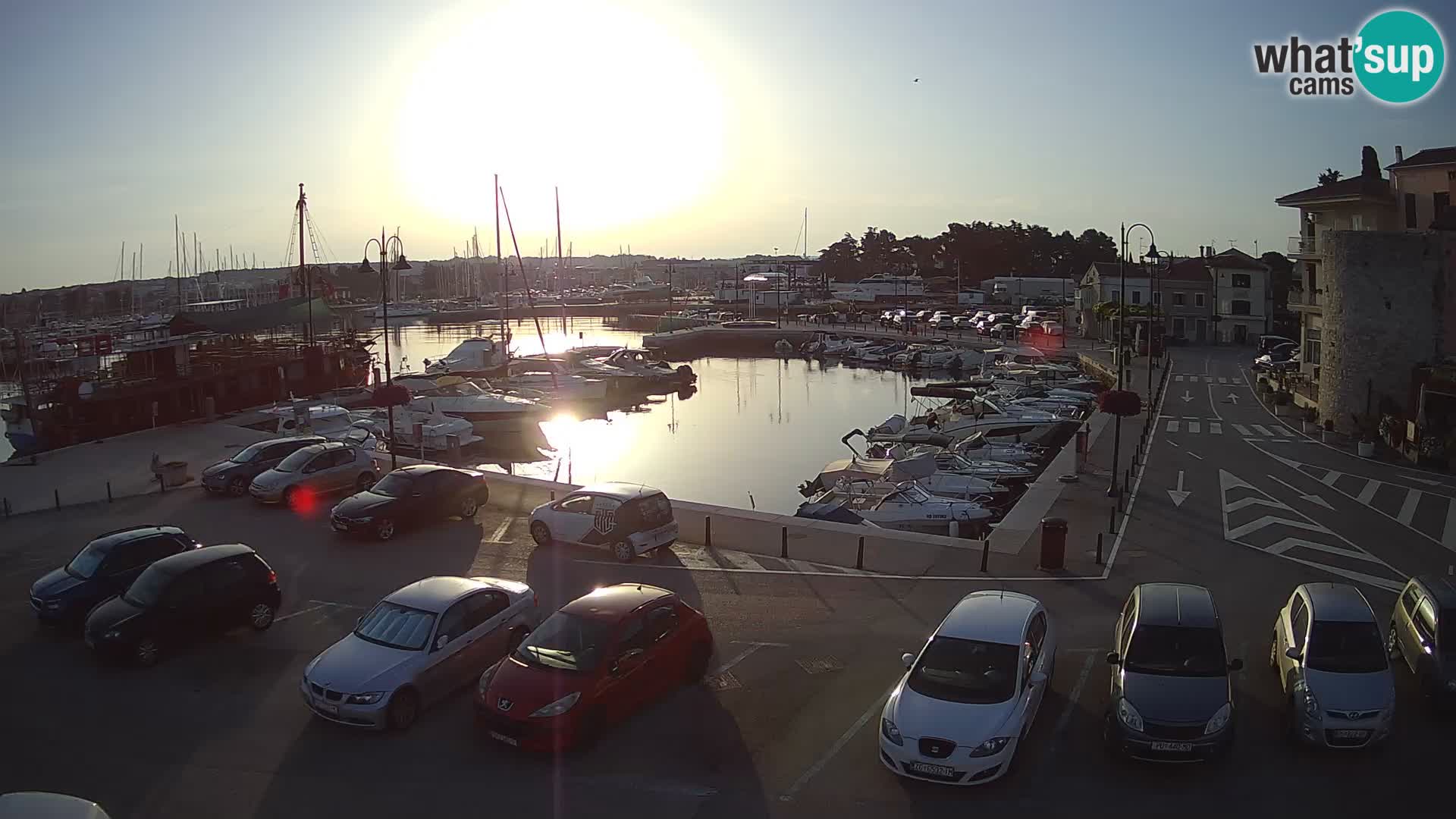 Novigrad | Porporela marina