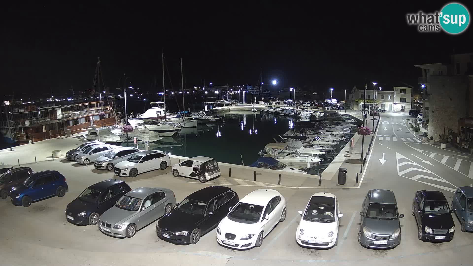 Novigrad | Porporela marina