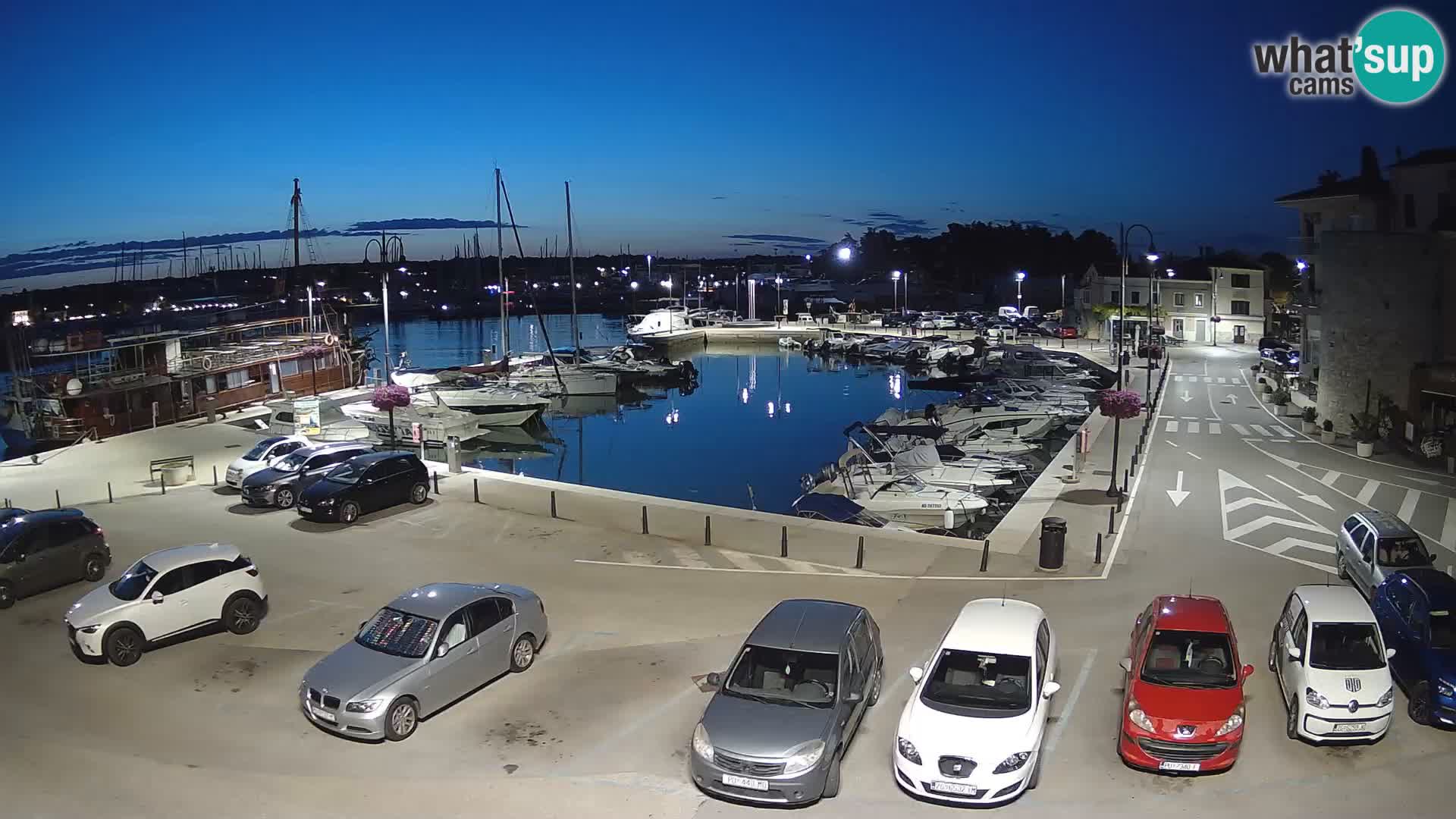Novigrad | Porporela marina