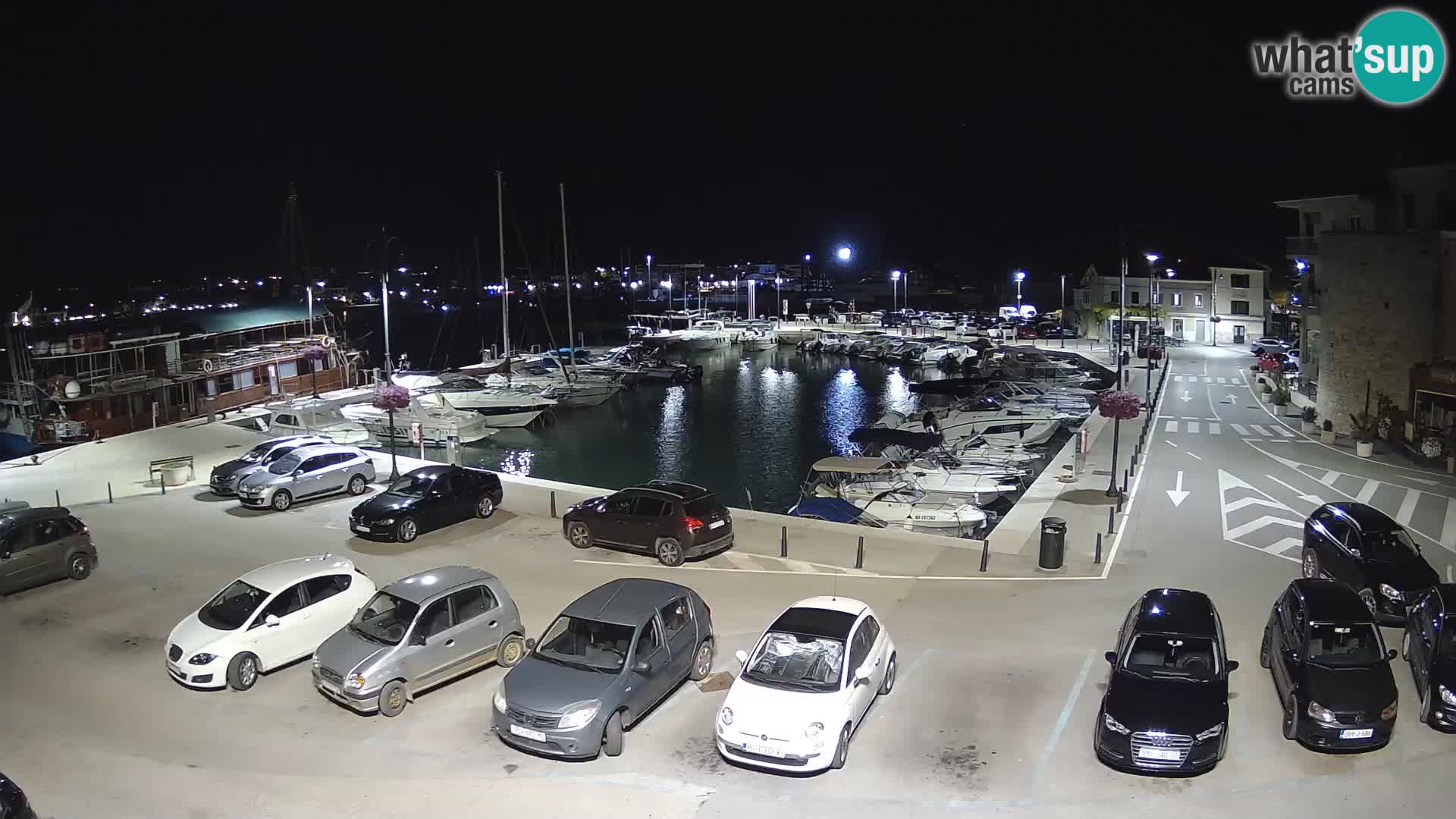Novigrad | Porporela marina