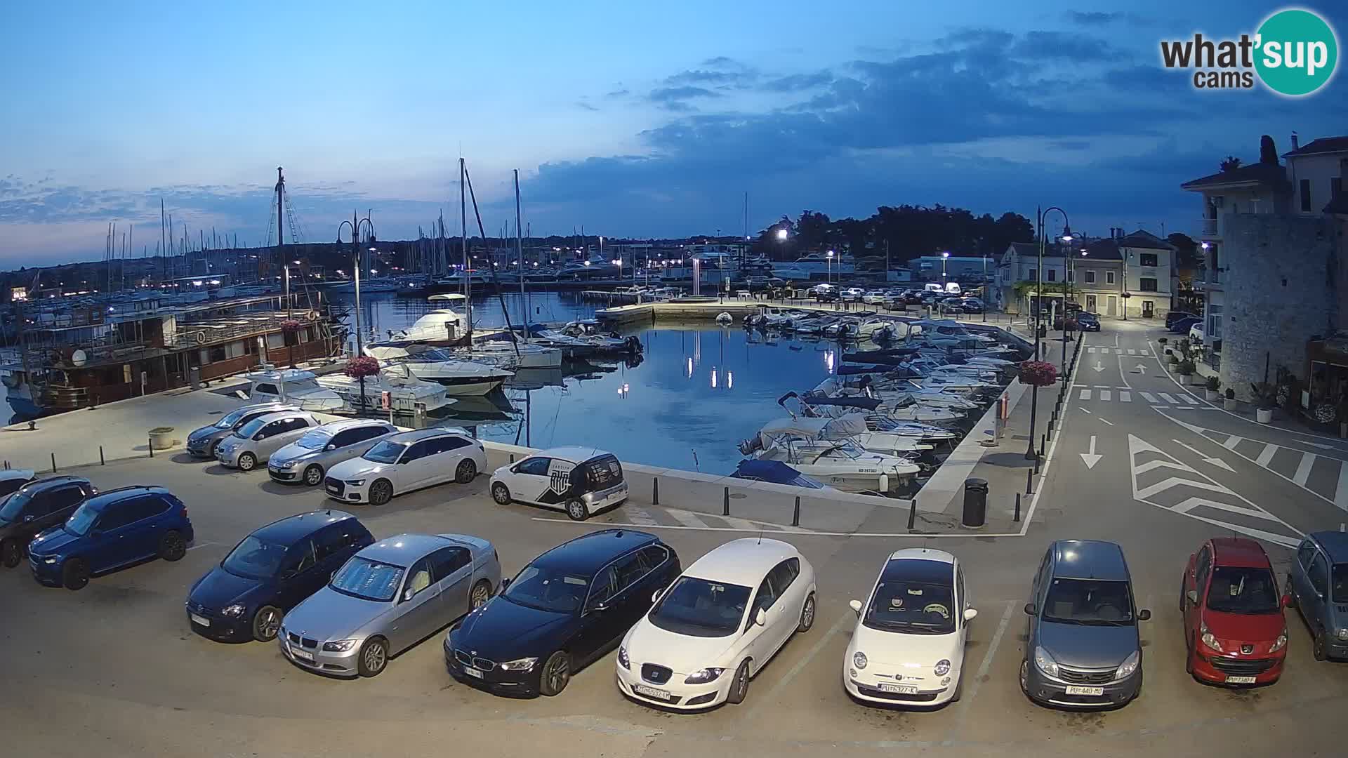 Novigrad | Porporela marina