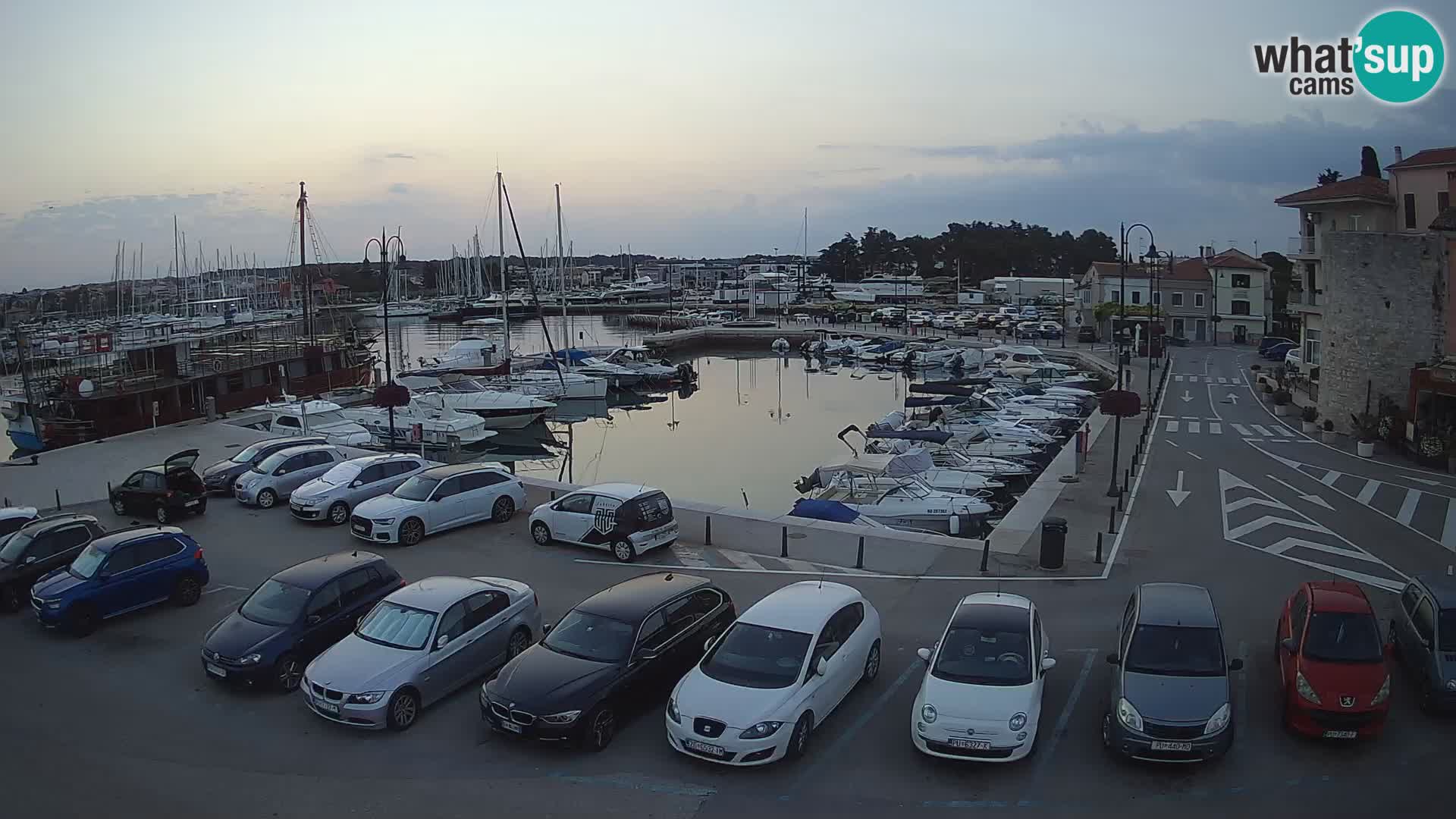 Novigrad | Porporela marina