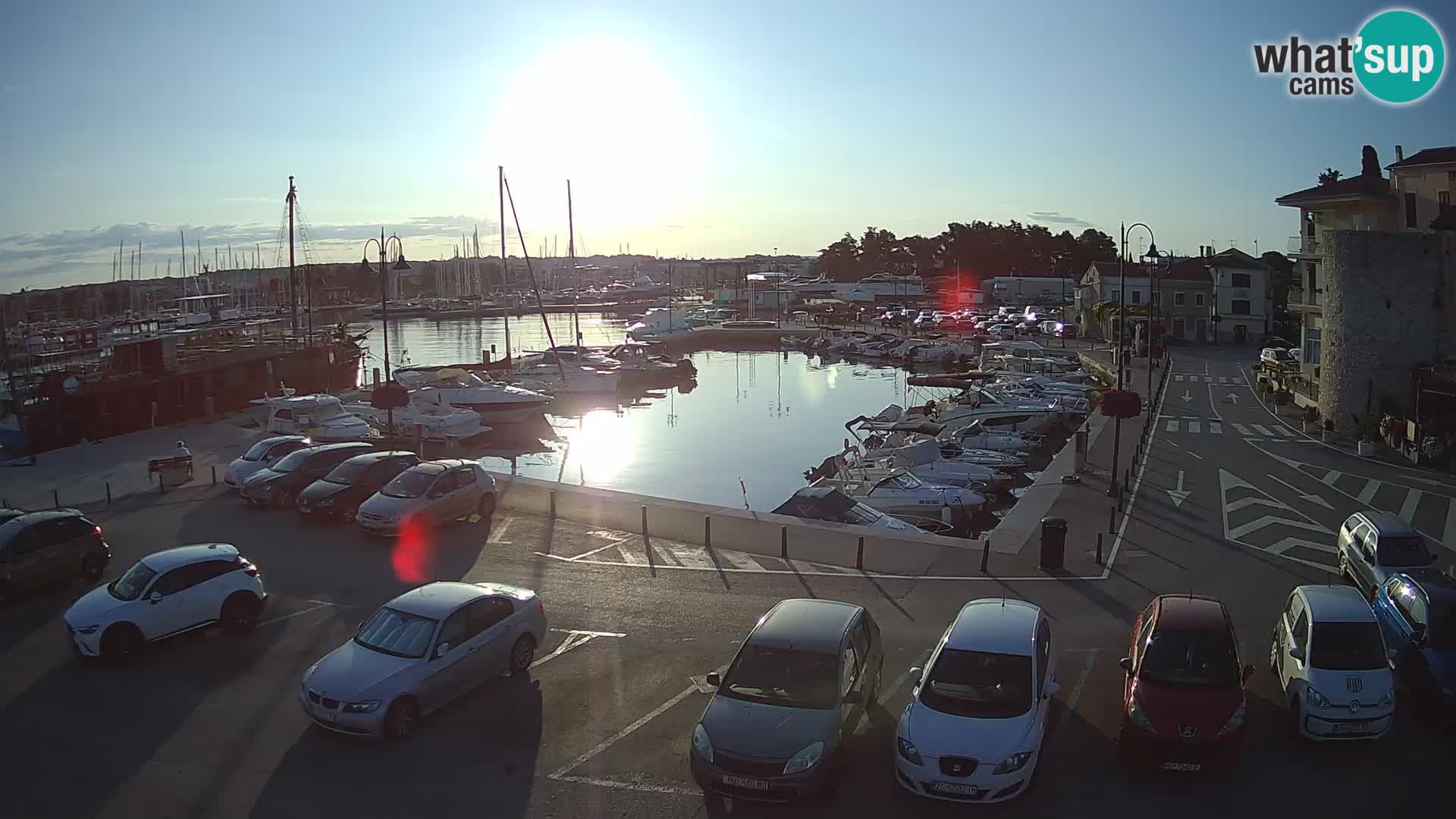 Novigrad | Porporela marina