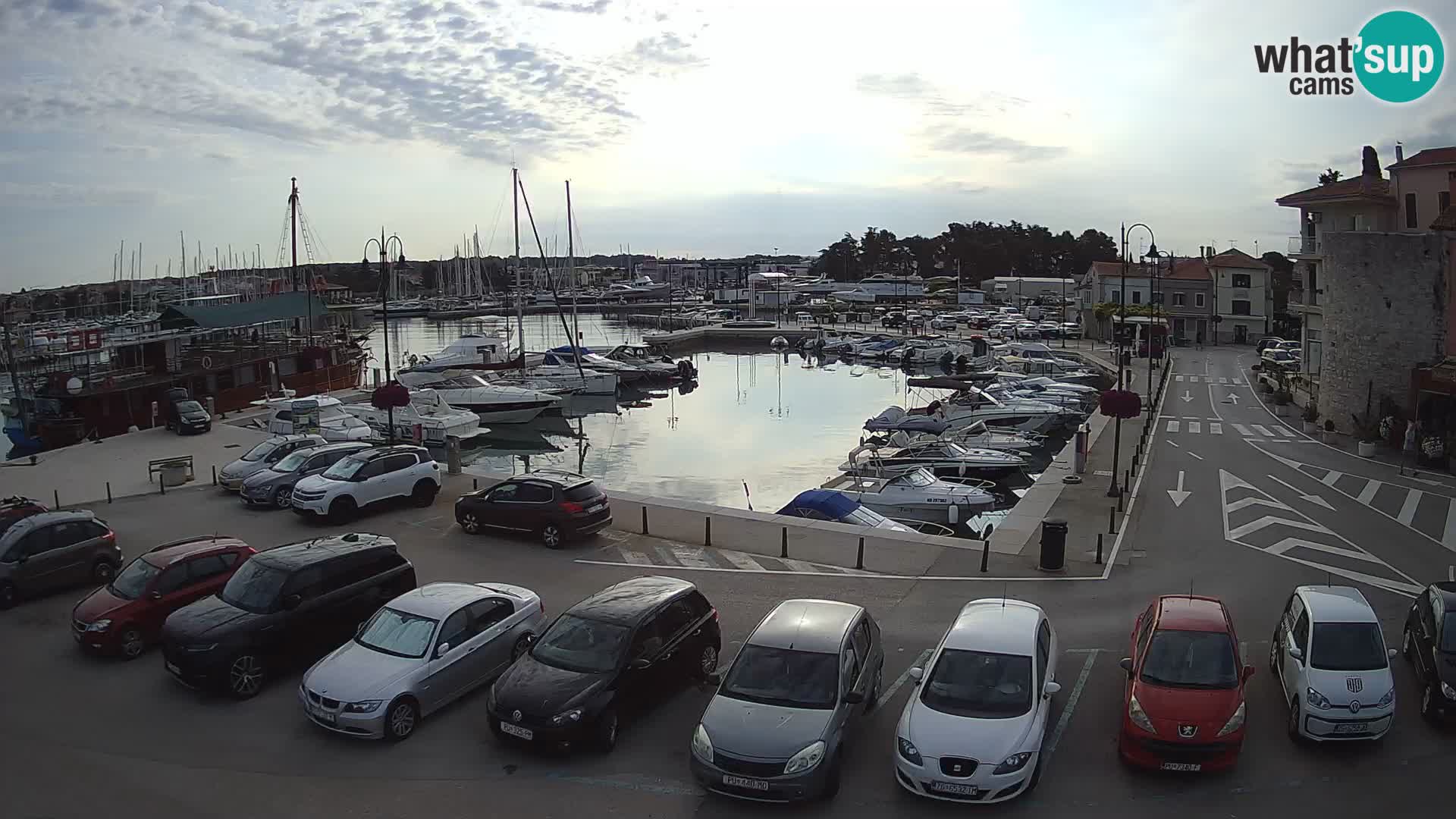 Novigrad | Porporela marina