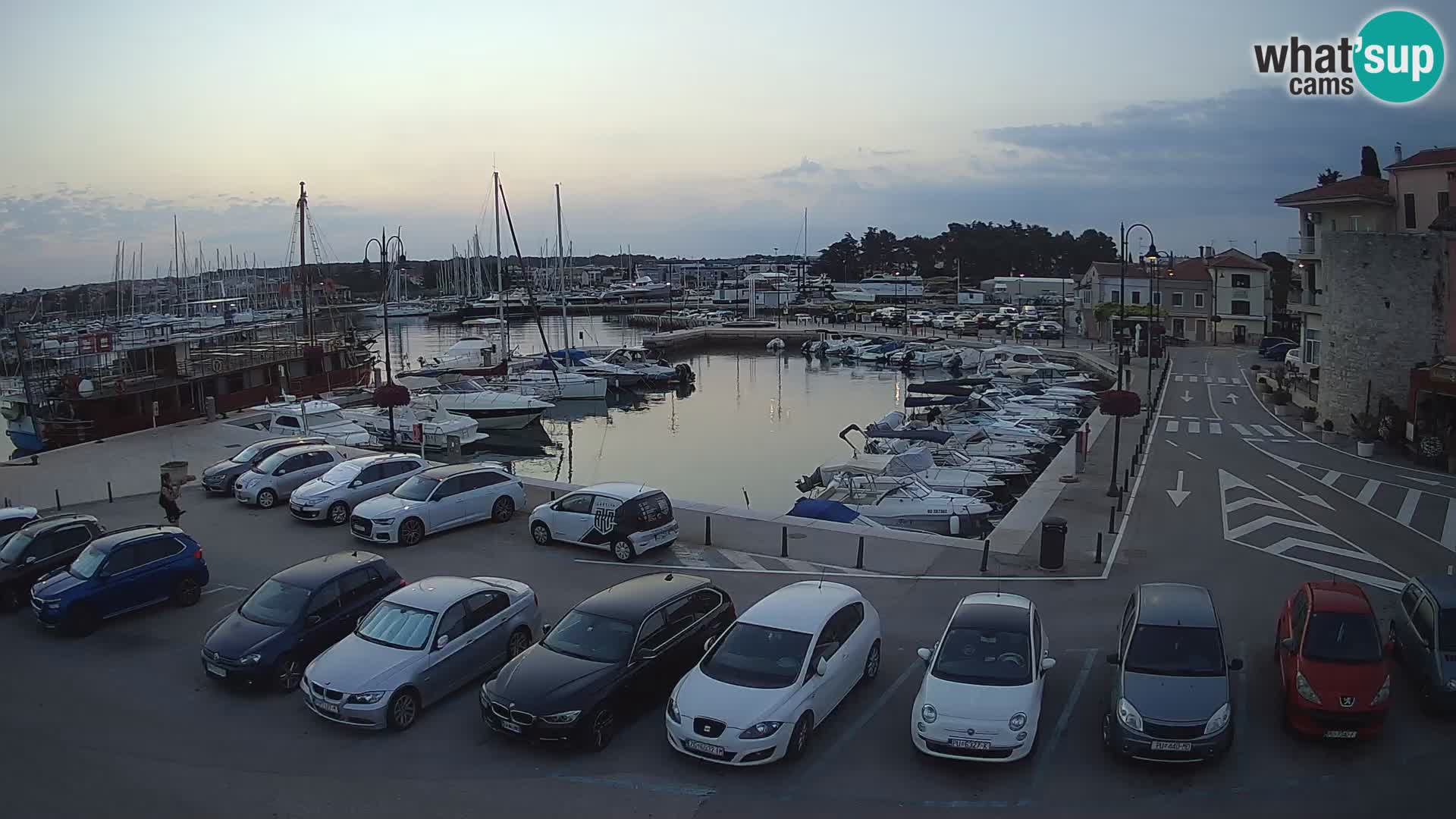 Novigrad | Porporela marina