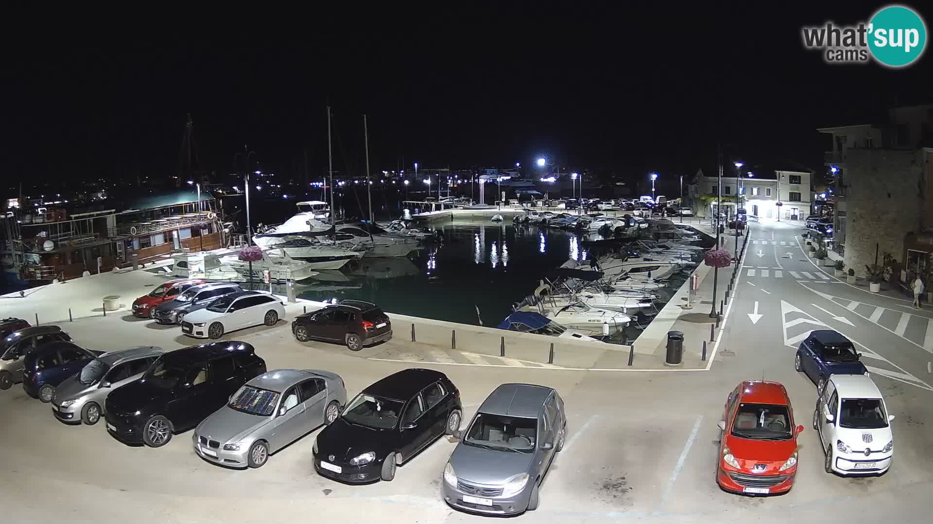 Novigrad | Porporela marina