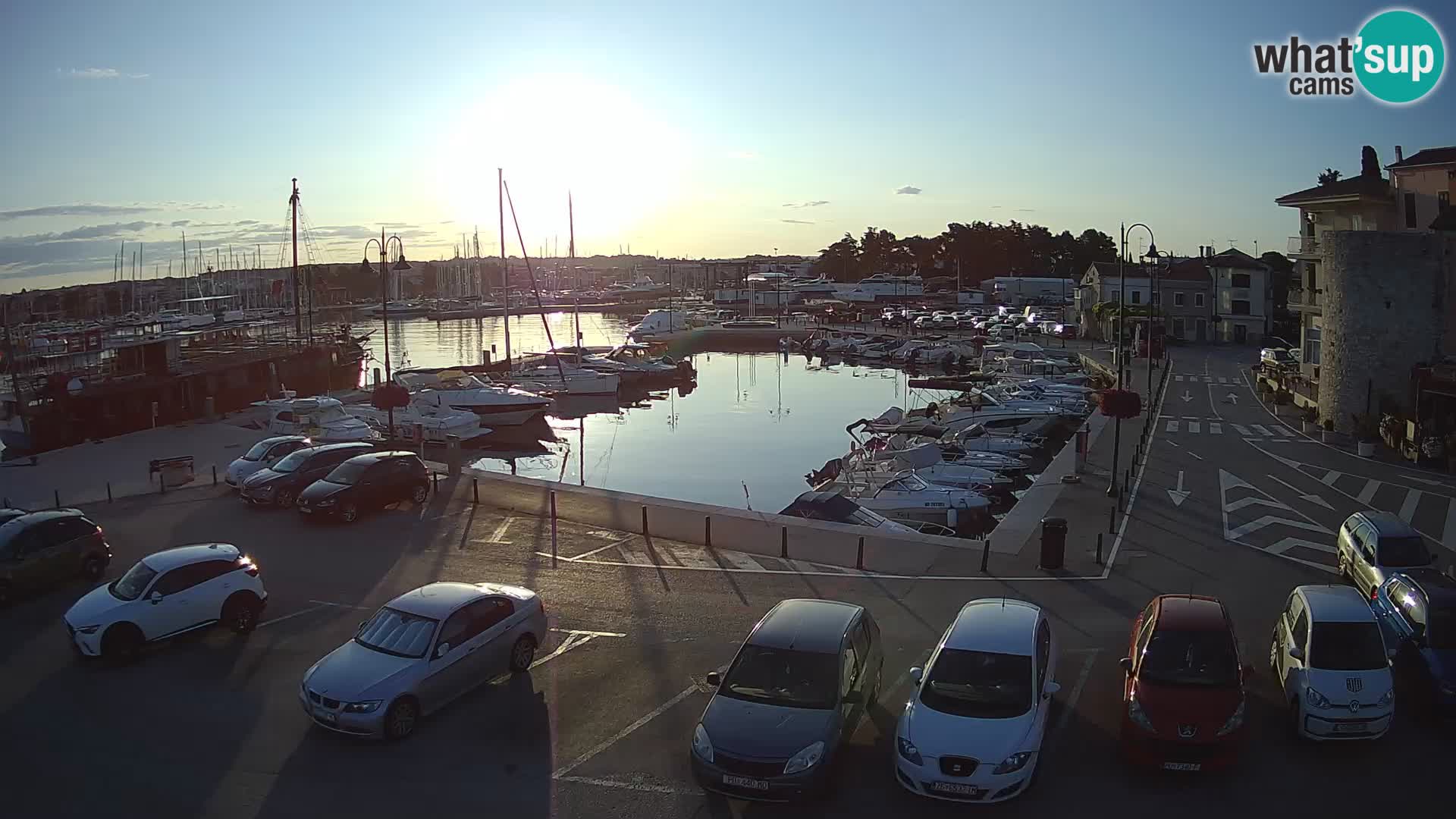 Novigrad | Porporela marina