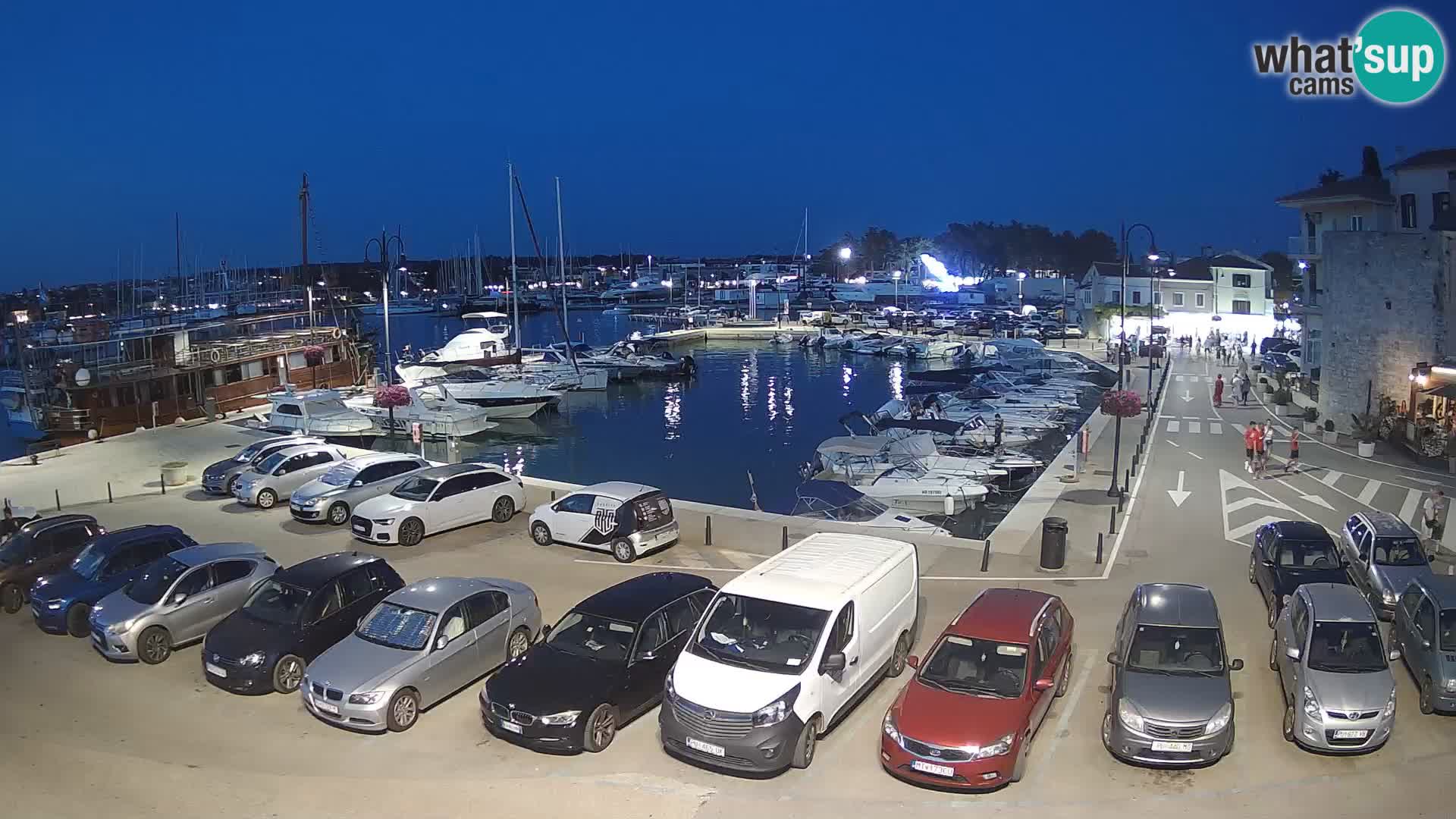 Novigrad | Porporela marina
