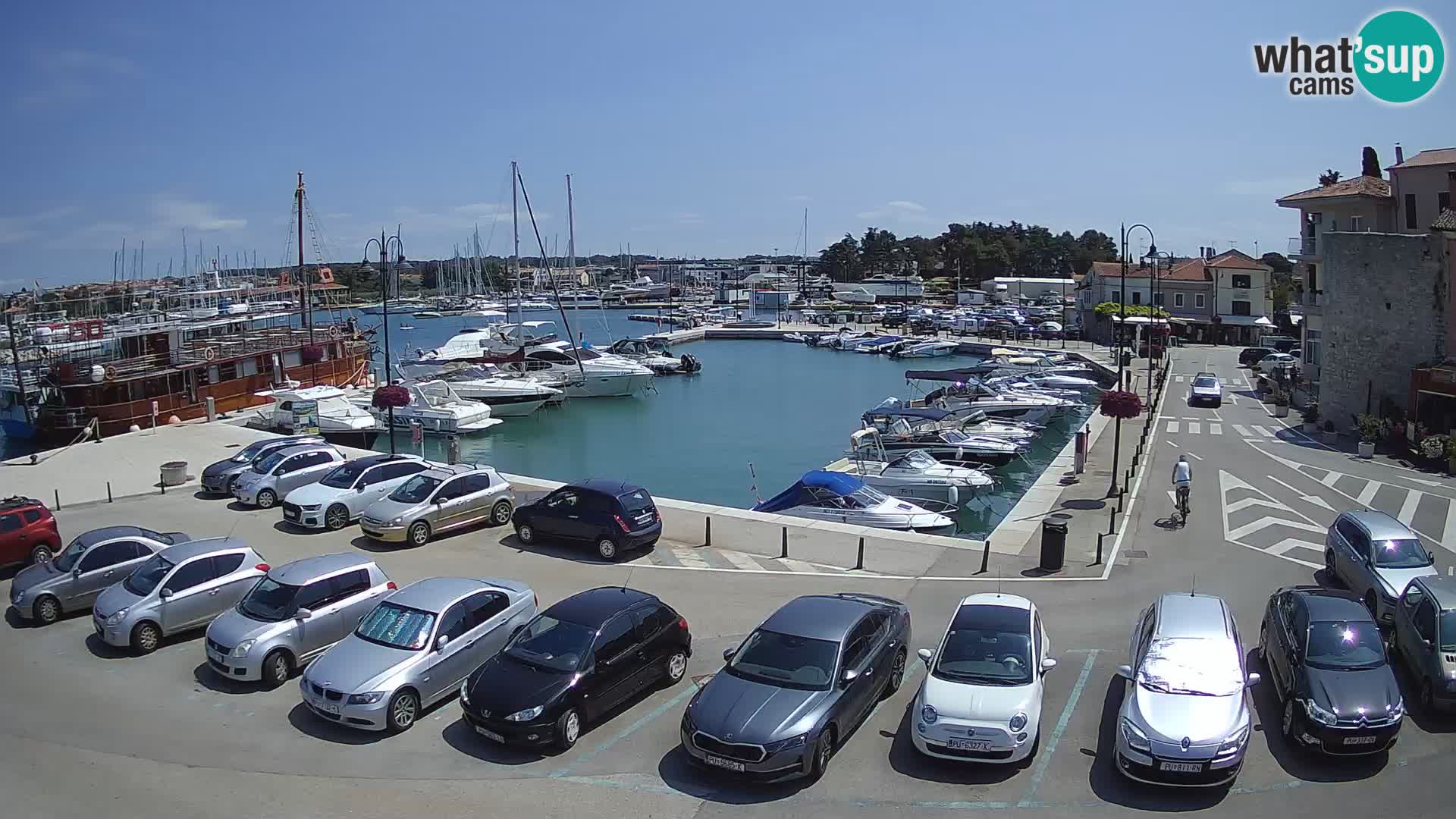 Novigrad | Porporela marina