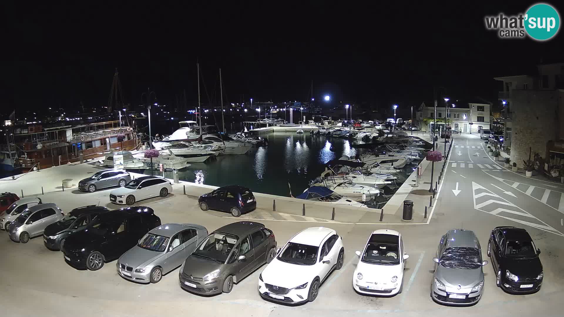Novigrad | Porporela marina