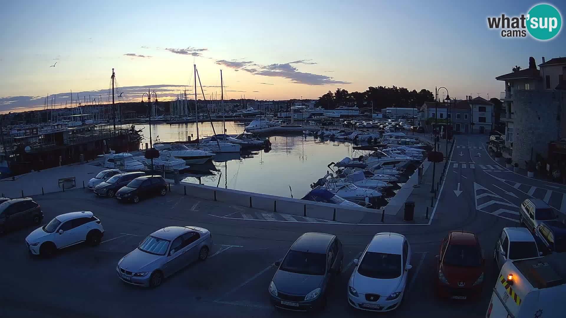 Novigrad | Porporela marina