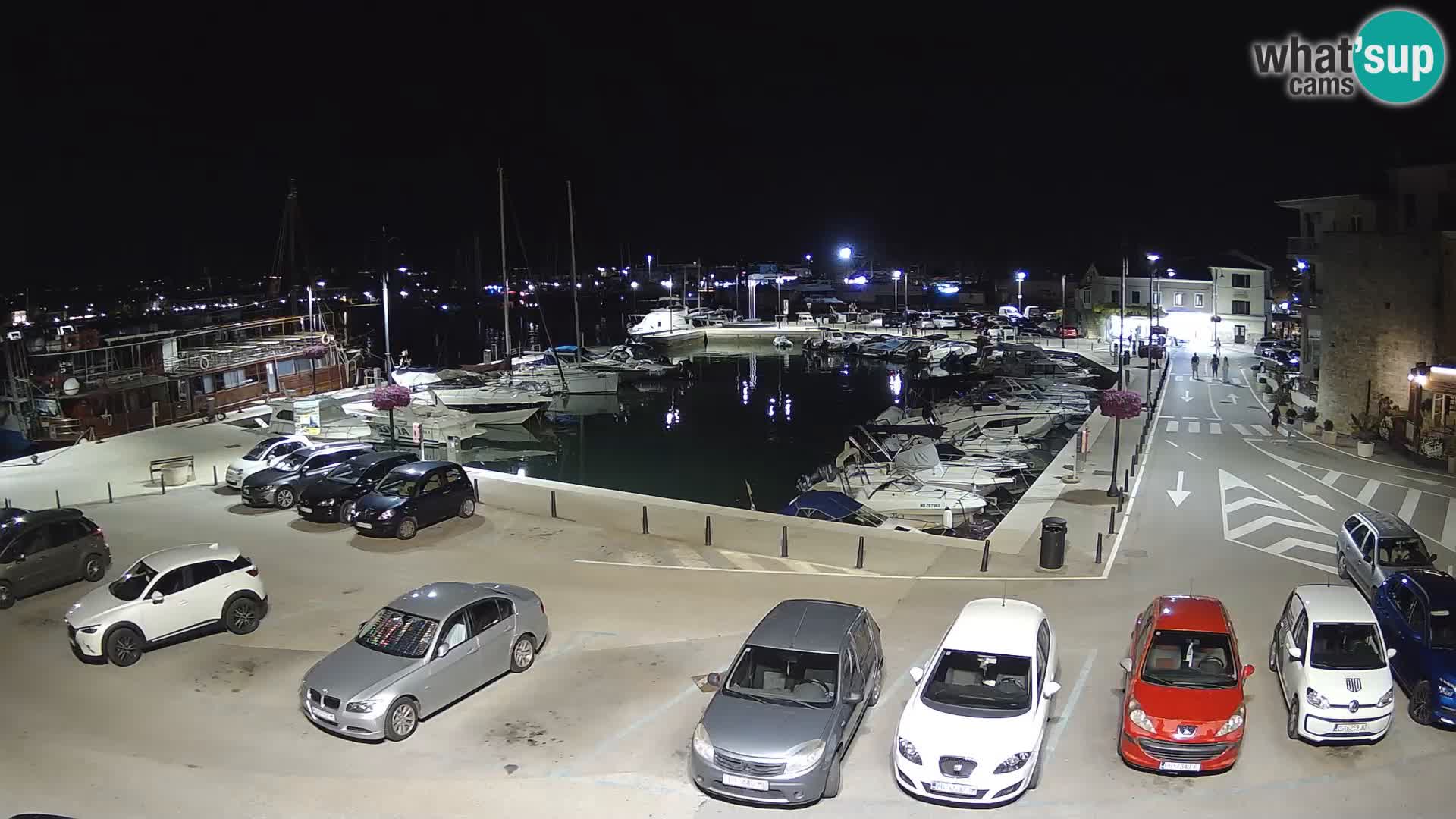 Novigrad | Porporela marina