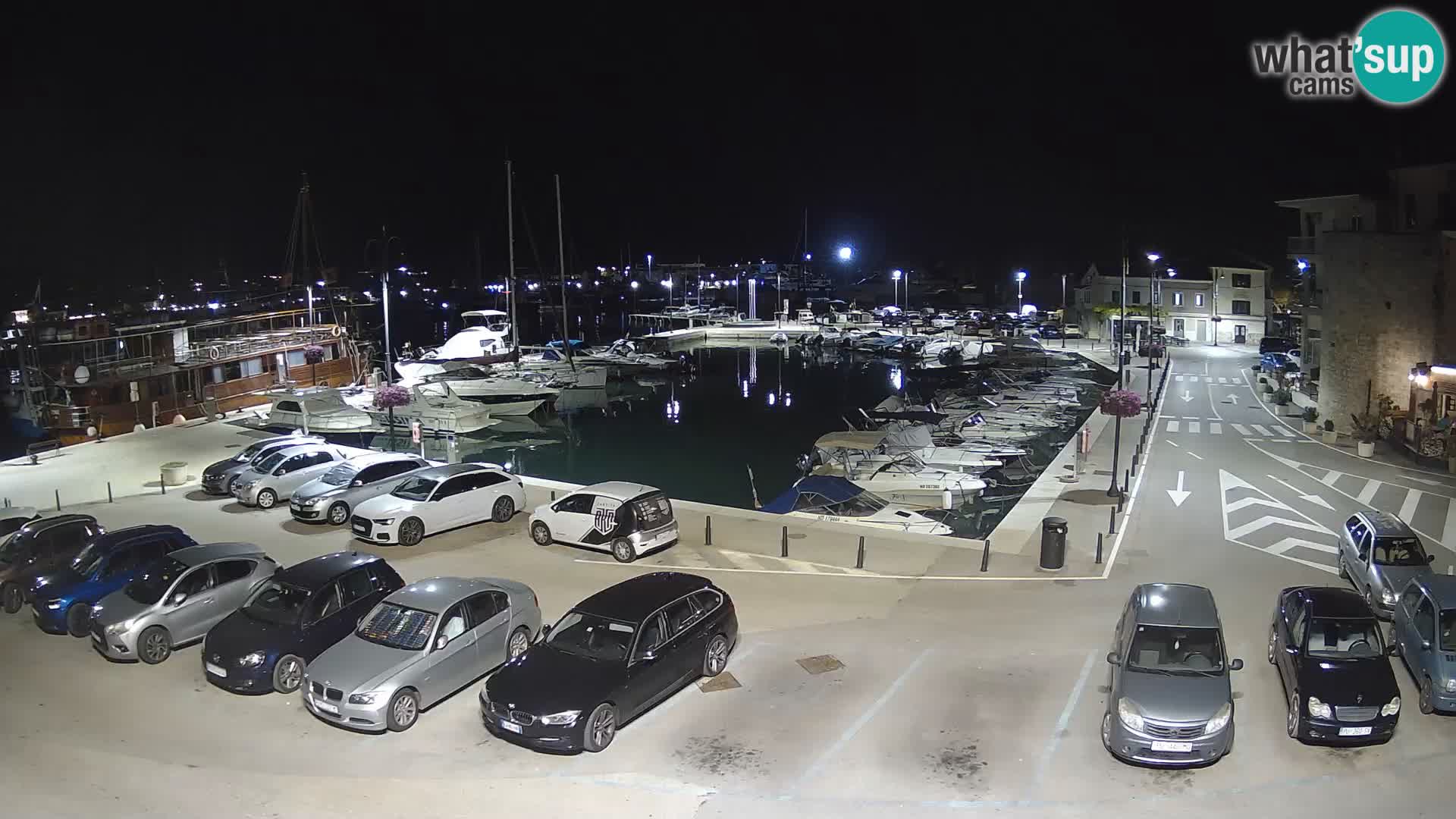 Novigrad | Porporela marina