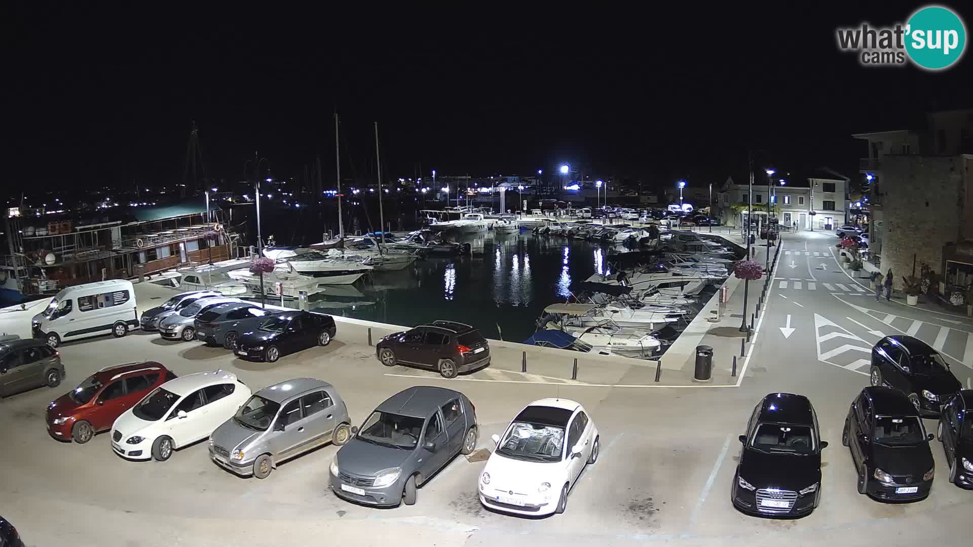 Novigrad | Porporela marina